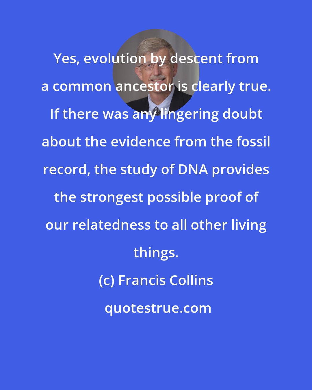 Francis Collins: Yes, evolution by descent from a common ancestor is clearly true. If there was any lingering doubt about the evidence from the fossil record, the study of DNA provides the strongest possible proof of our relatedness to all other living things.