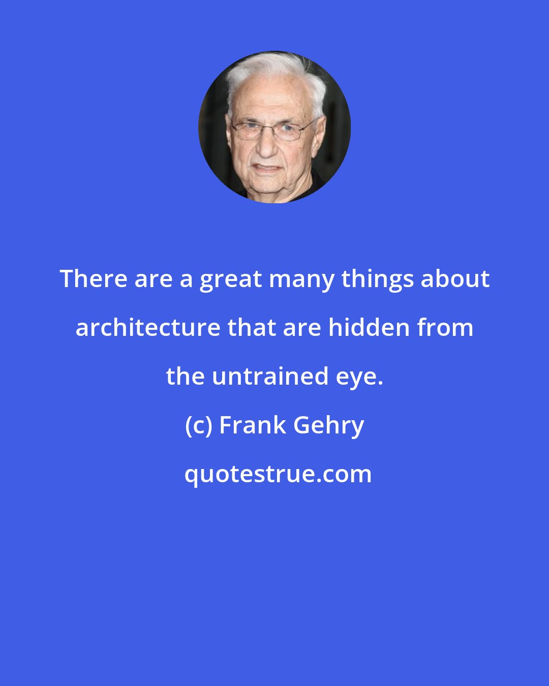 Frank Gehry: There are a great many things about architecture that are hidden from the untrained eye.