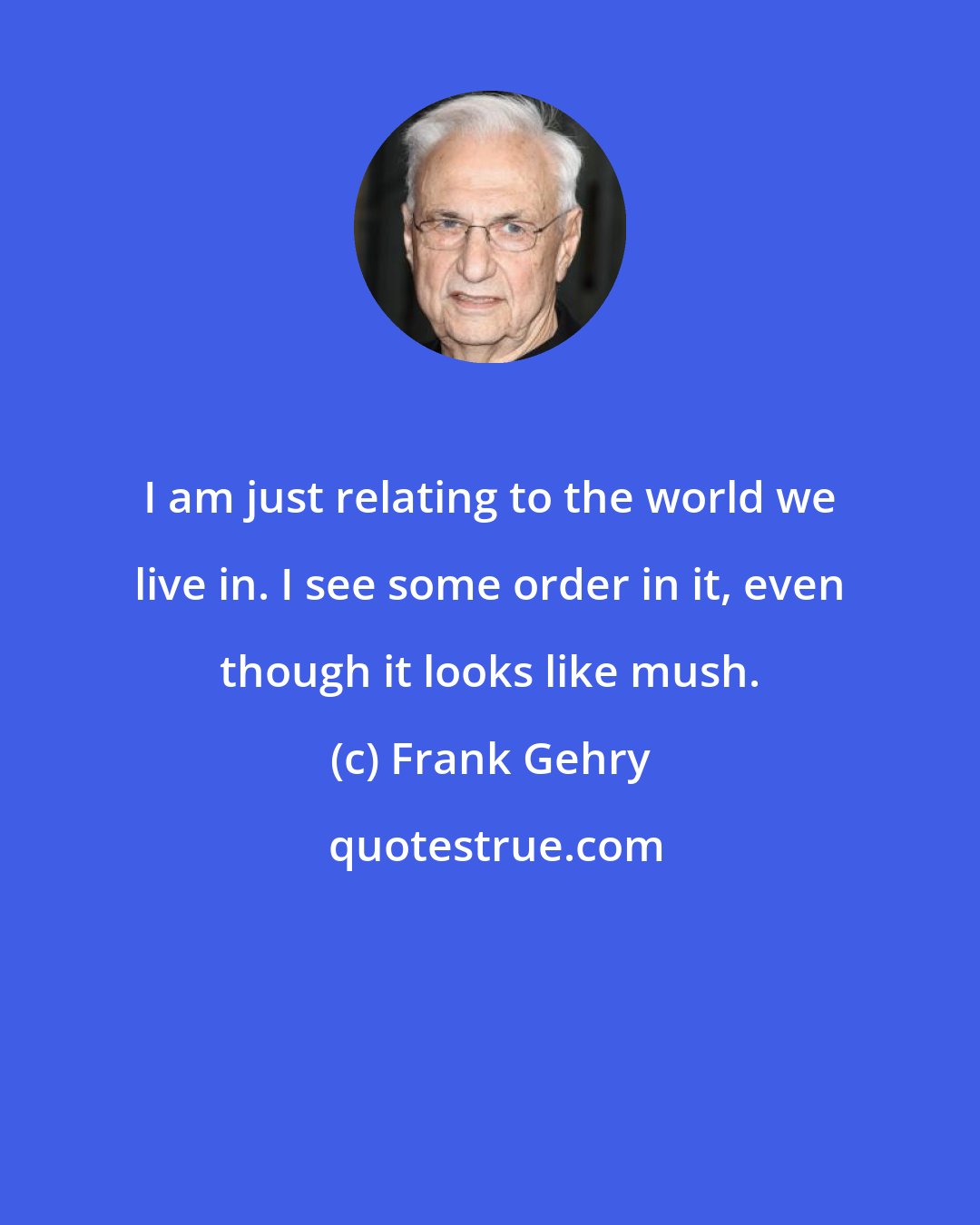 Frank Gehry: I am just relating to the world we live in. I see some order in it, even though it looks like mush.