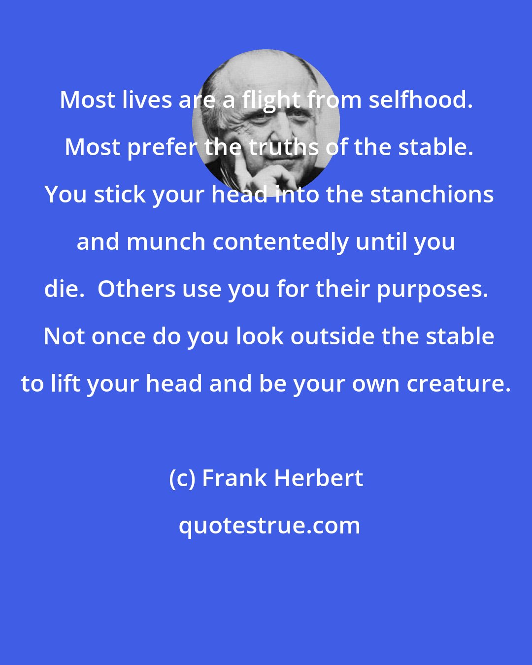 Frank Herbert: Most lives are a flight from selfhood.  Most prefer the truths of the stable.  You stick your head into the stanchions and munch contentedly until you die.  Others use you for their purposes.  Not once do you look outside the stable to lift your head and be your own creature.