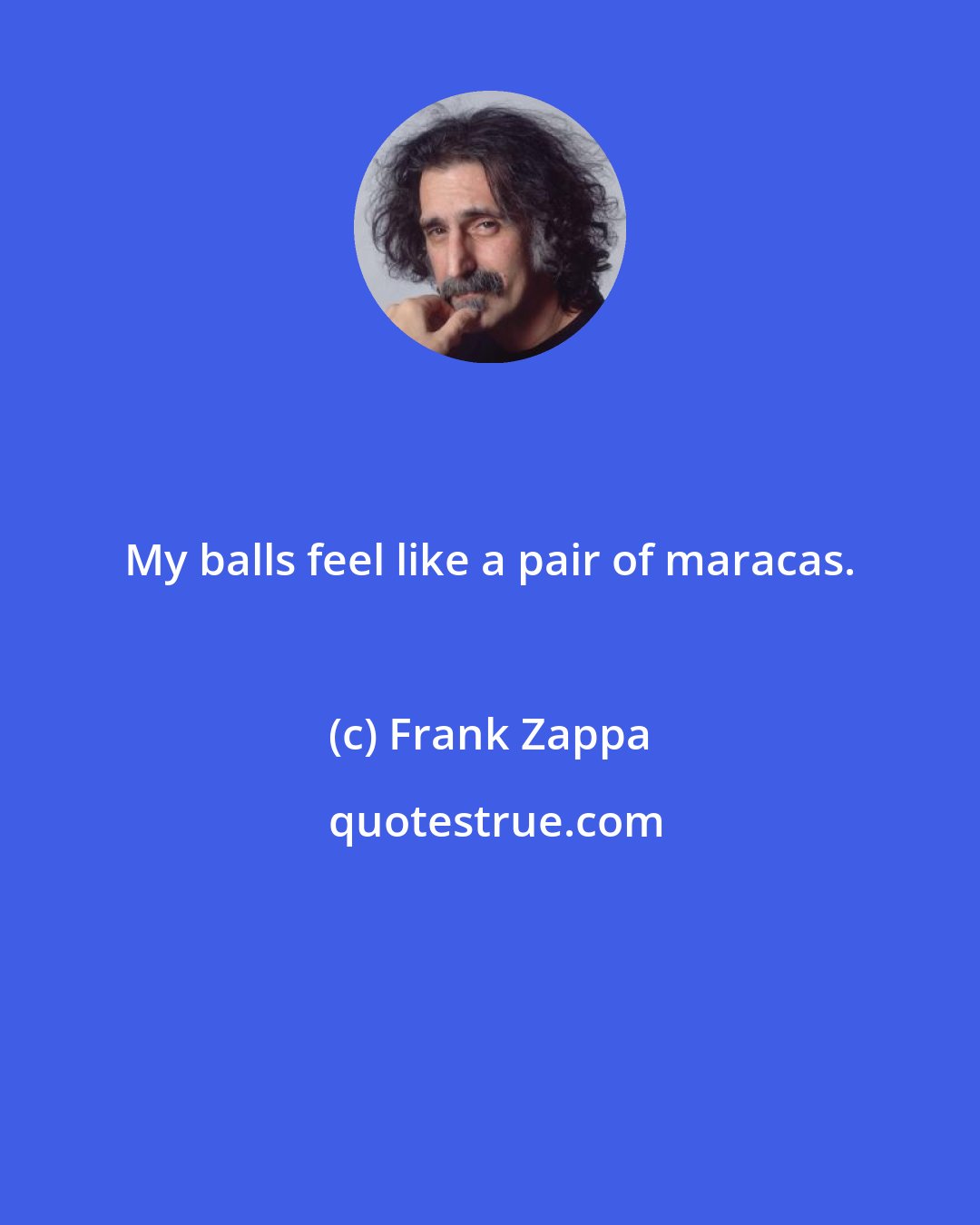 Frank Zappa: My balls feel like a pair of maracas.