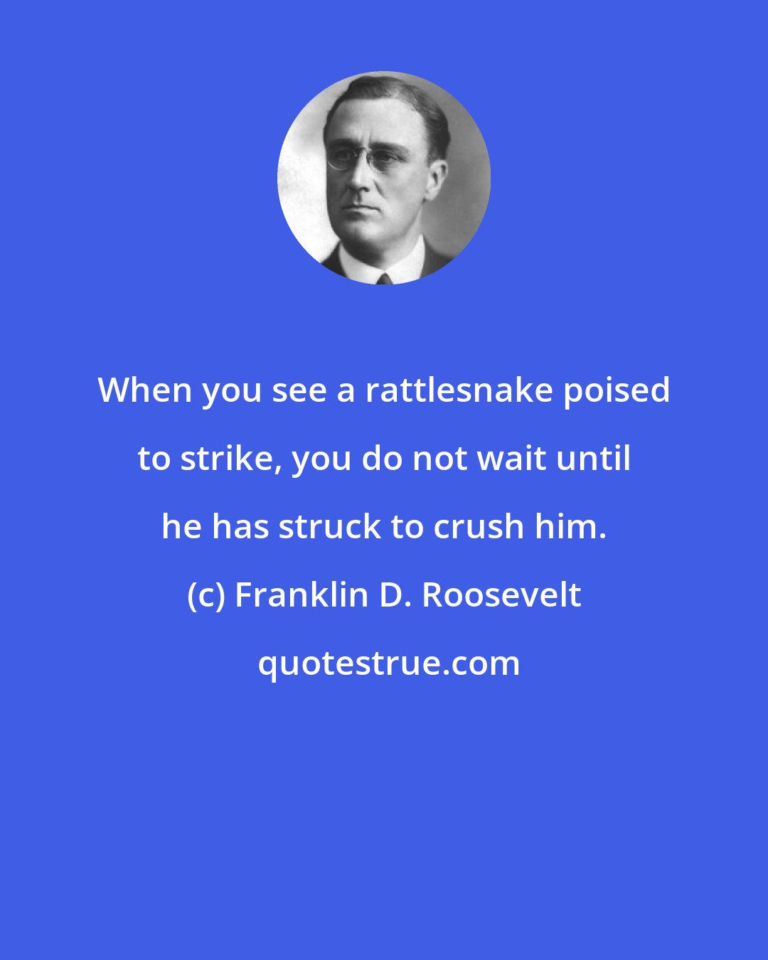 Franklin D. Roosevelt: When you see a rattlesnake poised to strike, you do not wait until he has struck to crush him.