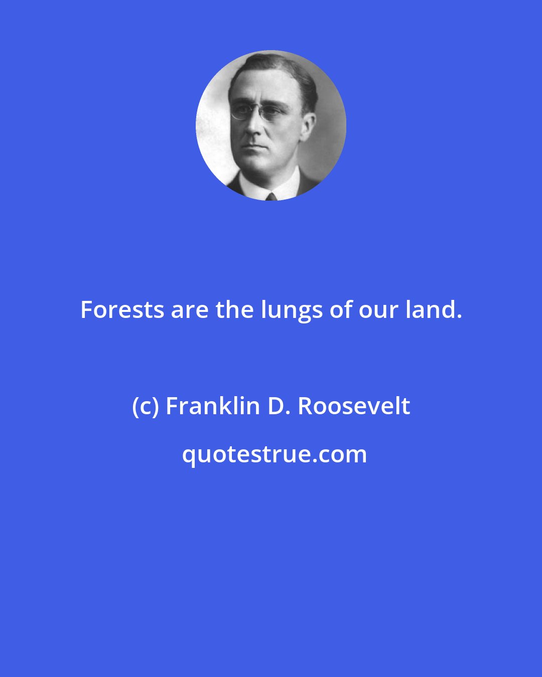 Franklin D. Roosevelt: Forests are the lungs of our land.