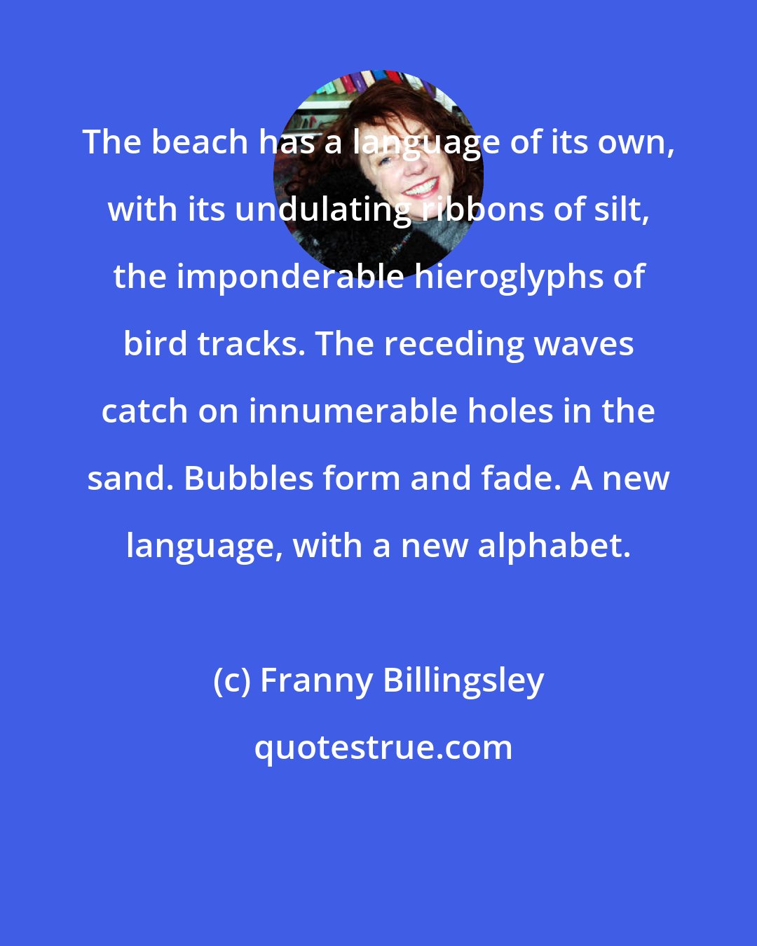 Franny Billingsley: The beach has a language of its own, with its undulating ribbons of silt, the imponderable hieroglyphs of bird tracks. The receding waves catch on innumerable holes in the sand. Bubbles form and fade. A new language, with a new alphabet.
