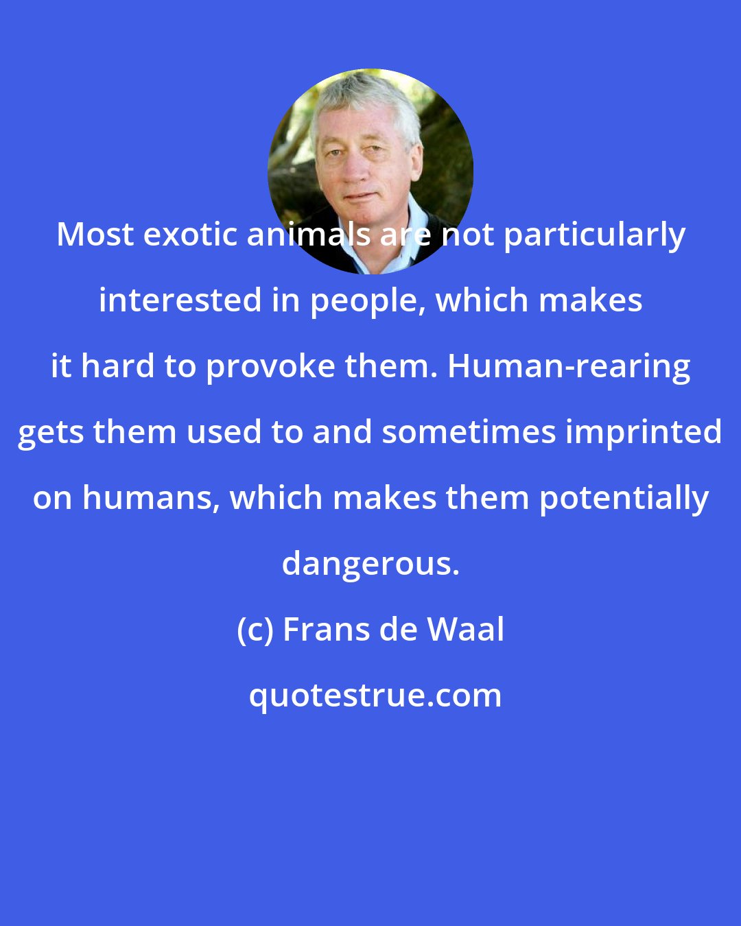 Frans de Waal: Most exotic animals are not particularly interested in people, which makes it hard to provoke them. Human-rearing gets them used to and sometimes imprinted on humans, which makes them potentially dangerous.