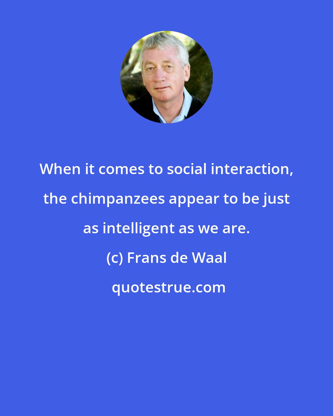 Frans de Waal: When it comes to social interaction, the chimpanzees appear to be just as intelligent as we are.