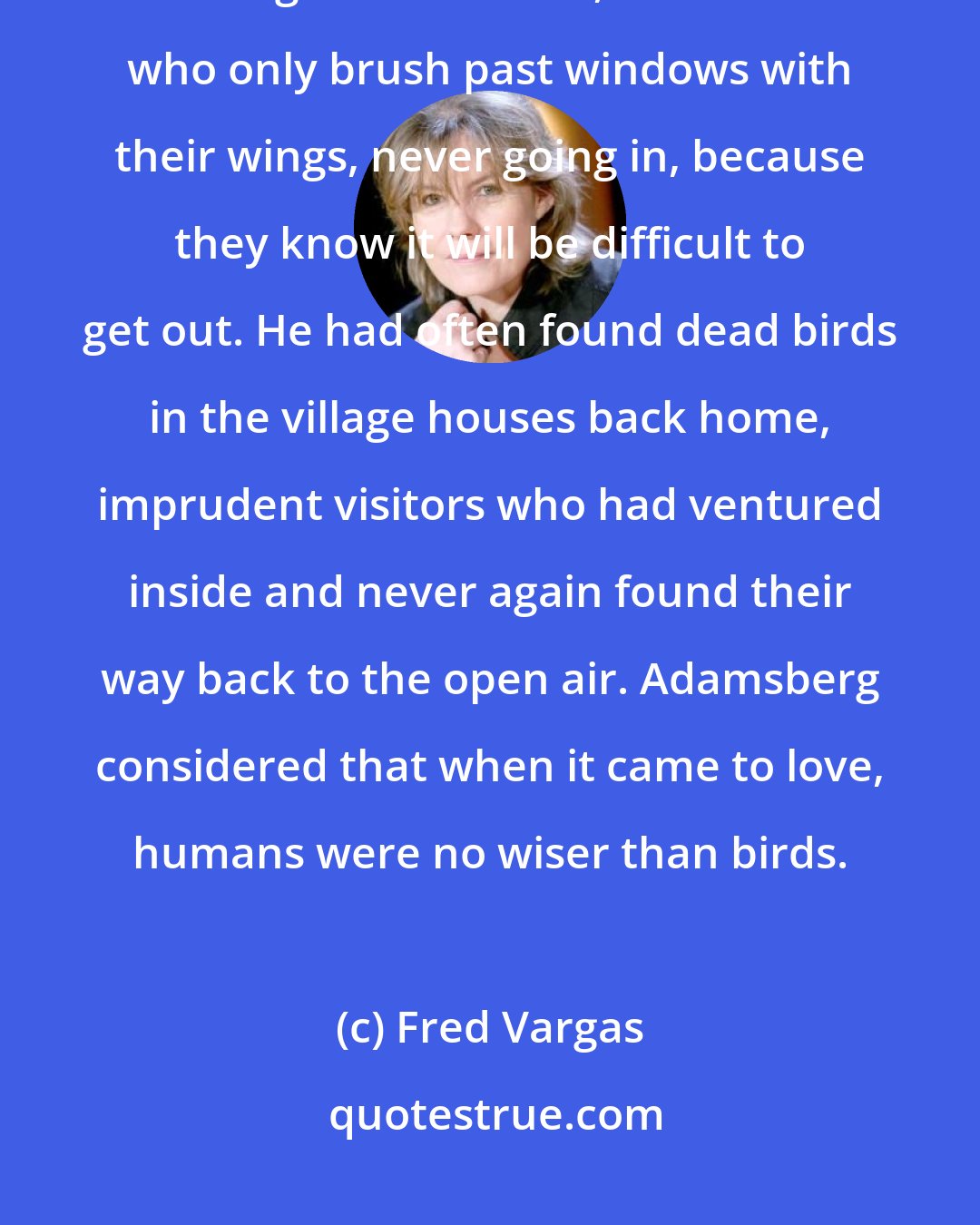 Fred Vargas: ADAMSBERG WAS NOT A MAN WHO WENT IN FOR EMOTION: he skirted around strong feelings with caution, like swifts who only brush past windows with their wings, never going in, because they know it will be difficult to get out. He had often found dead birds in the village houses back home, imprudent visitors who had ventured inside and never again found their way back to the open air. Adamsberg considered that when it came to love, humans were no wiser than birds.