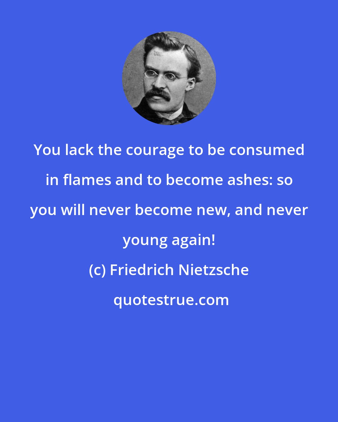 Friedrich Nietzsche: You lack the courage to be consumed in flames and to become ashes: so you will never become new, and never young again!