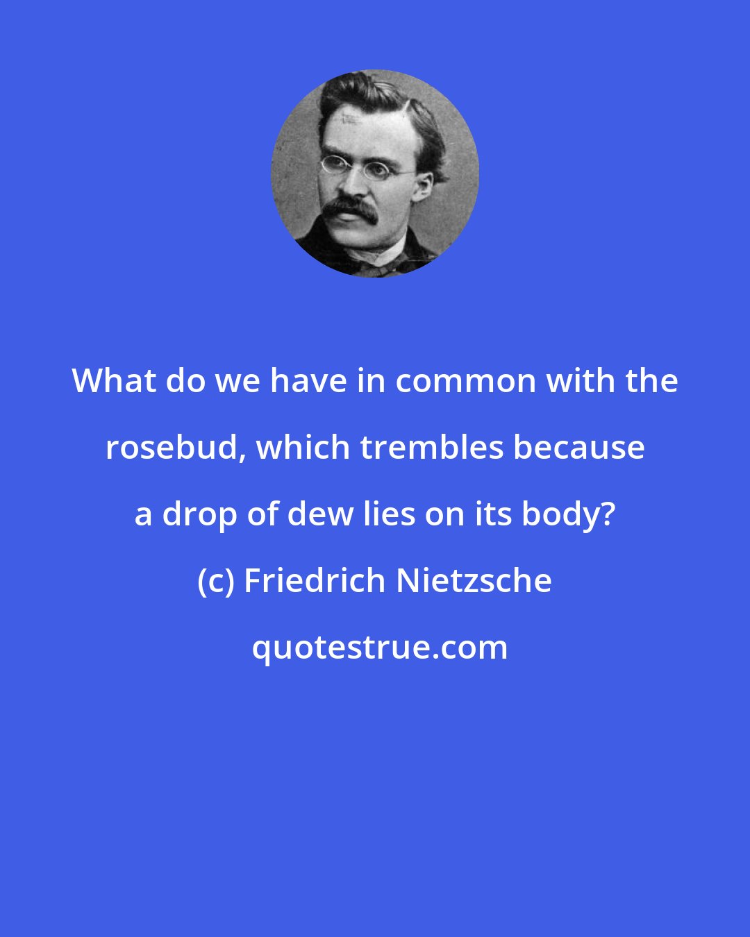 Friedrich Nietzsche: What do we have in common with the rosebud, which trembles because a drop of dew lies on its body?