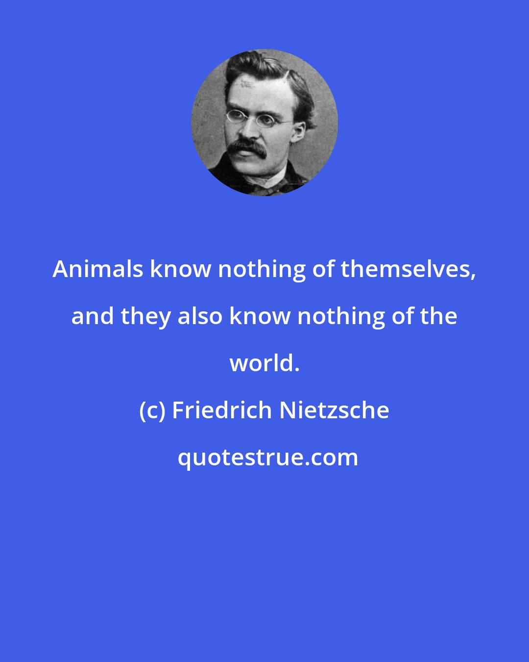 Friedrich Nietzsche: Animals know nothing of themselves, and they also know nothing of the world.