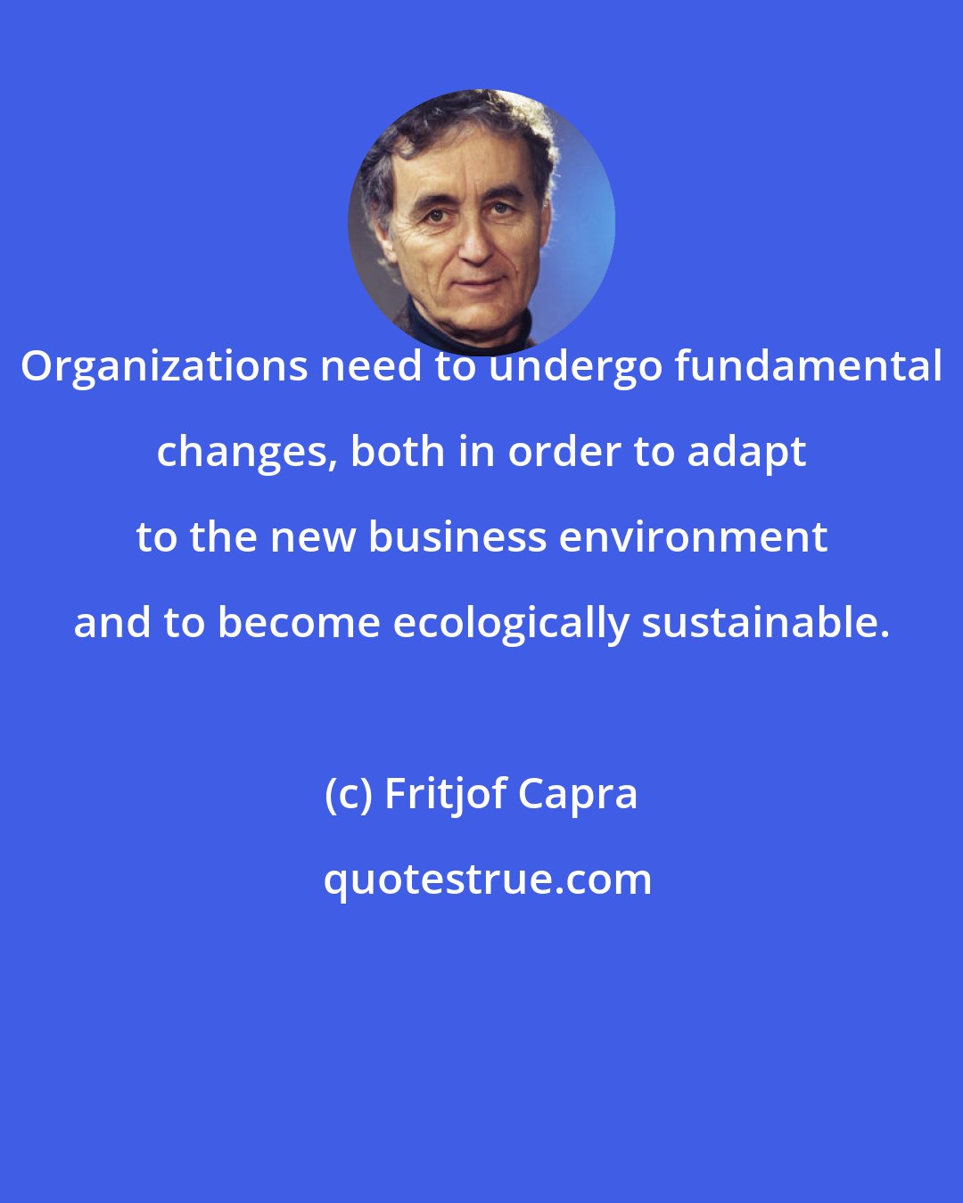 Fritjof Capra: Organizations need to undergo fundamental changes, both in order to adapt to the new business environment and to become ecologically sustainable.
