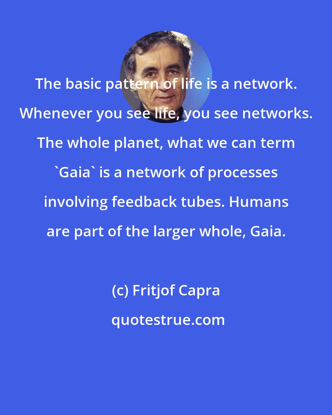 Fritjof Capra: The basic pattern of life is a network. Whenever you see life, you see networks. The whole planet, what we can term 'Gaia' is a network of processes involving feedback tubes. Humans are part of the larger whole, Gaia.