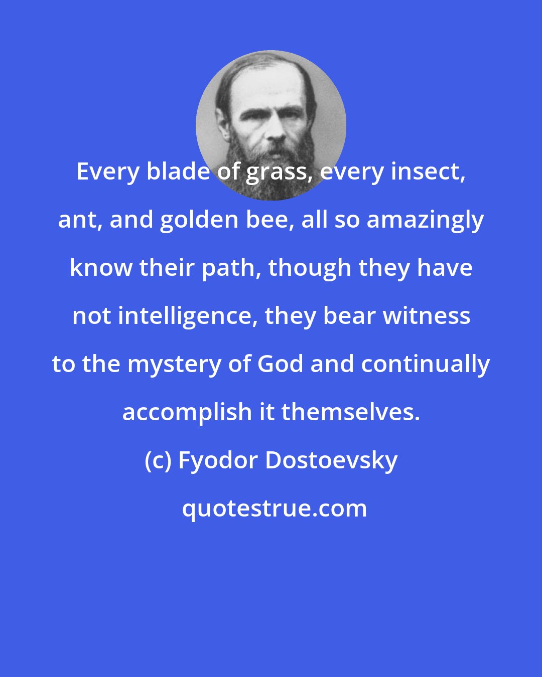 Fyodor Dostoevsky: Every blade of grass, every insect, ant, and golden bee, all so amazingly know their path, though they have not intelligence, they bear witness to the mystery of God and continually accomplish it themselves.