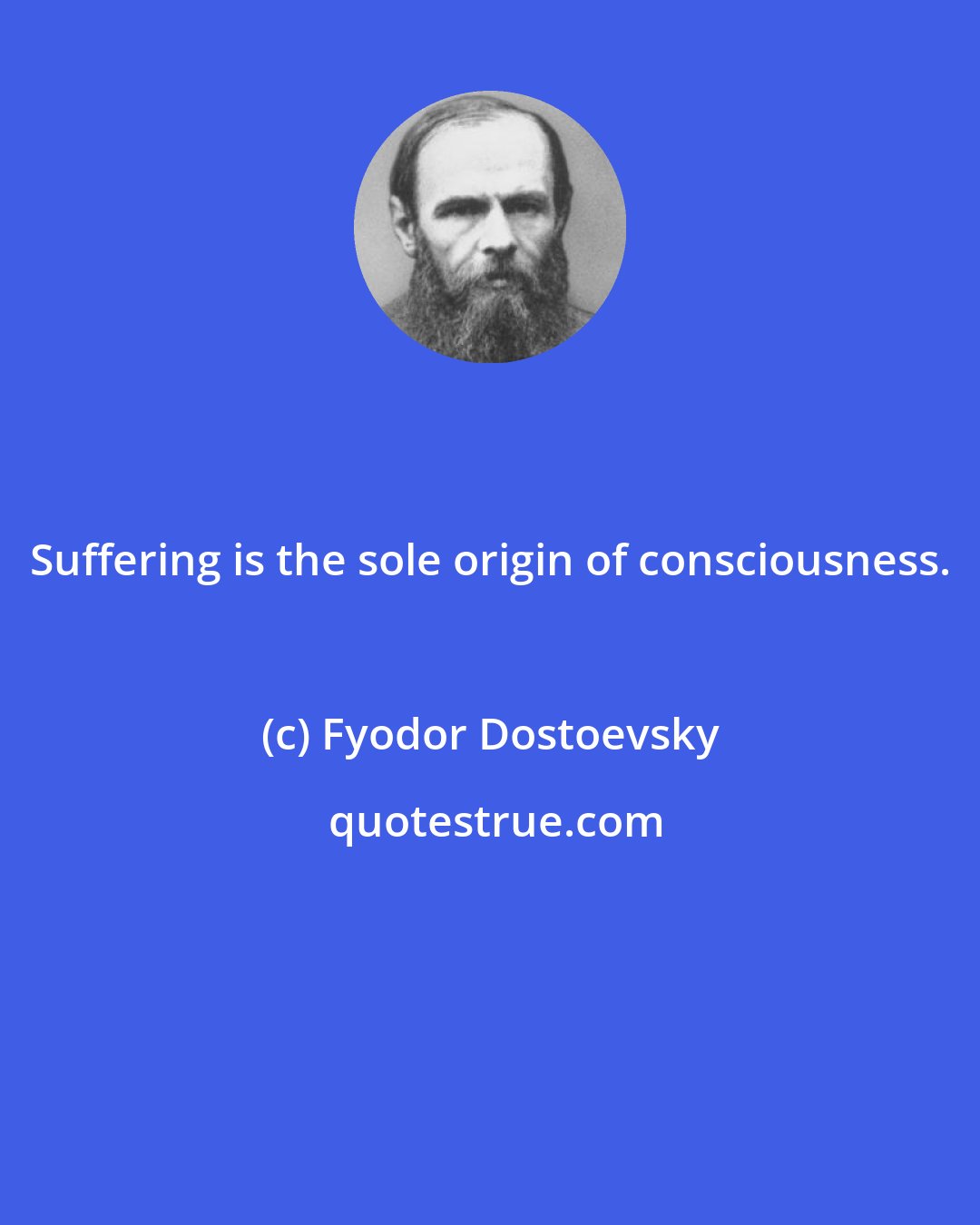 Fyodor Dostoevsky: Suffering is the sole origin of consciousness.