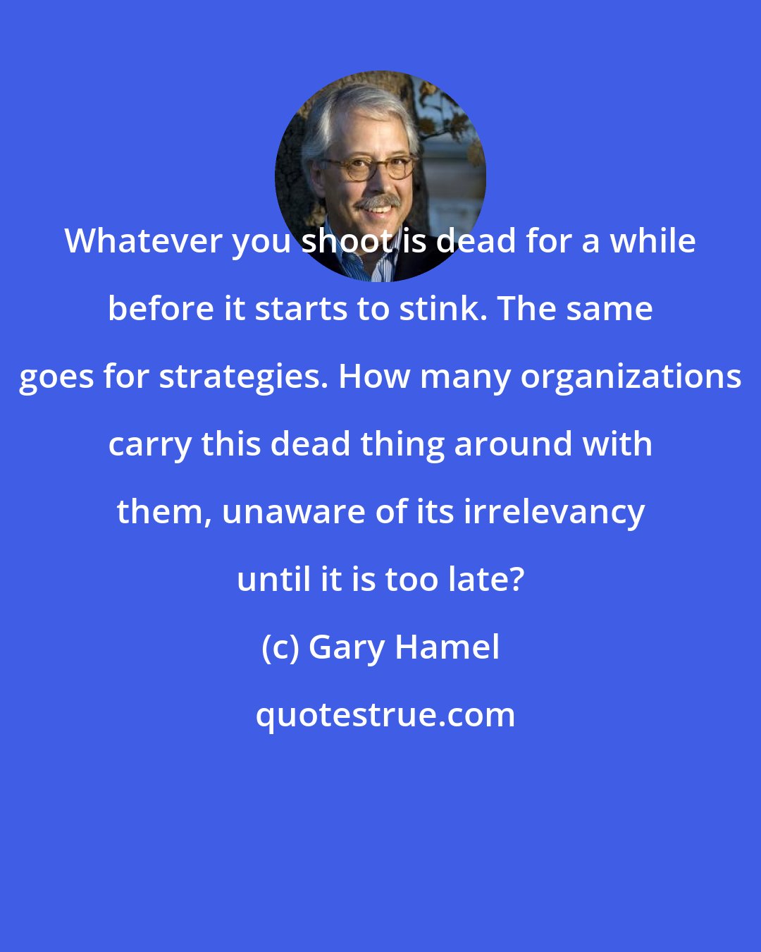 Gary Hamel: Whatever you shoot is dead for a while before it starts to stink. The same goes for strategies. How many organizations carry this dead thing around with them, unaware of its irrelevancy until it is too late?