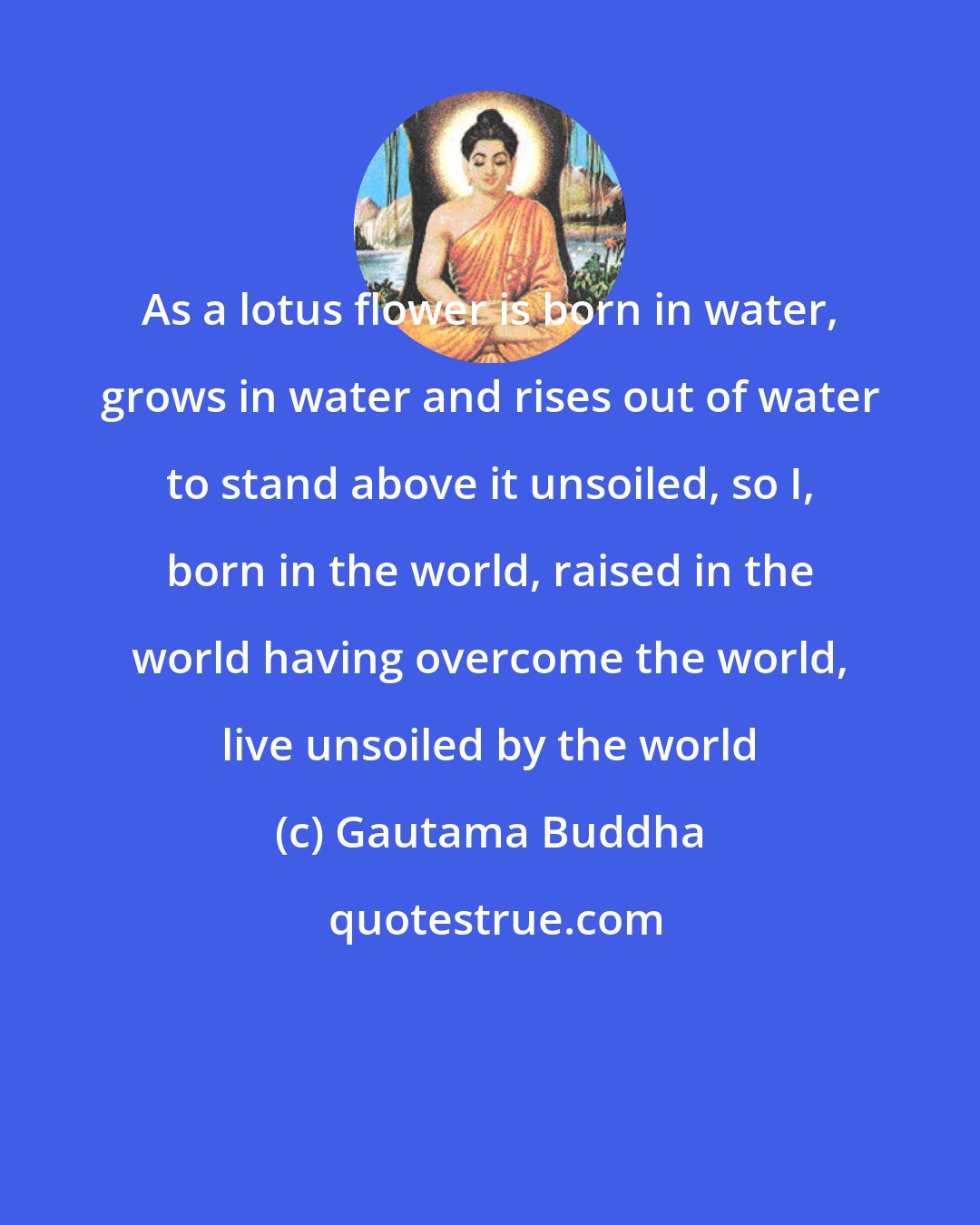Gautama Buddha: As a lotus flower is born in water, grows in water and rises out of water to stand above it unsoiled, so I, born in the world, raised in the world having overcome the world, live unsoiled by the world