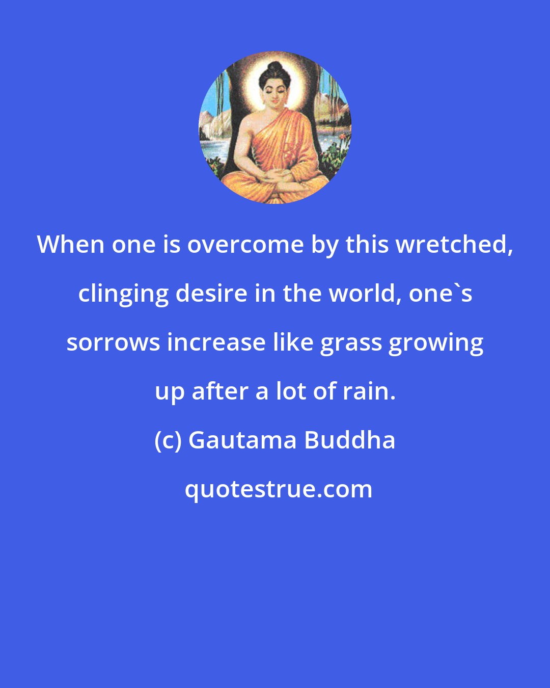 Gautama Buddha: When one is overcome by this wretched, clinging desire in the world, one's sorrows increase like grass growing up after a lot of rain.