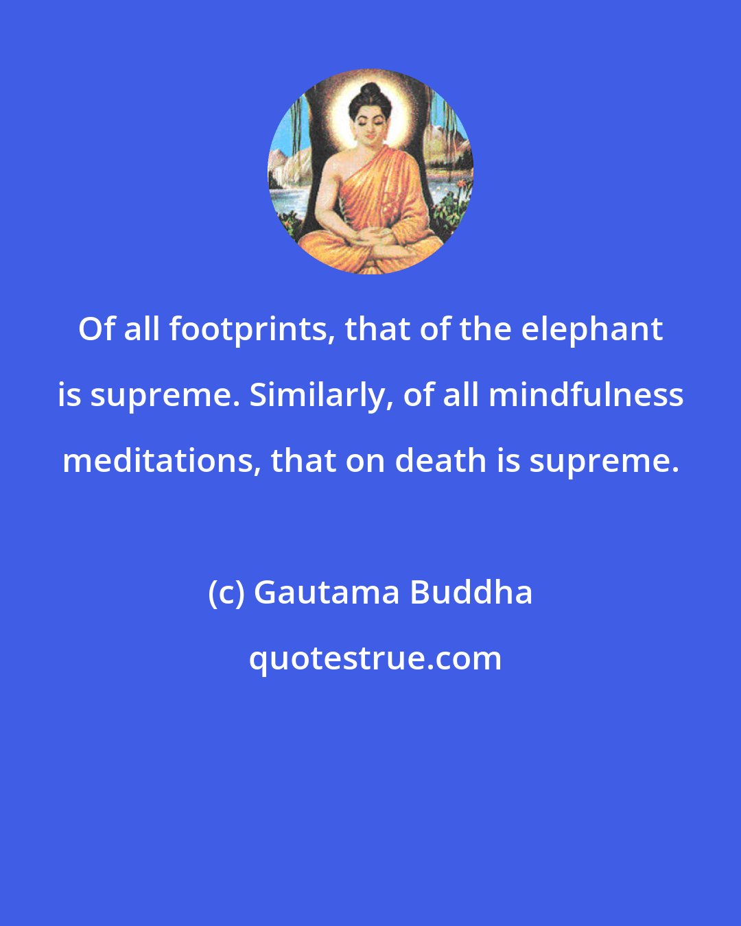Gautama Buddha: Of all footprints, that of the elephant is supreme. Similarly, of all mindfulness meditations, that on death is supreme.