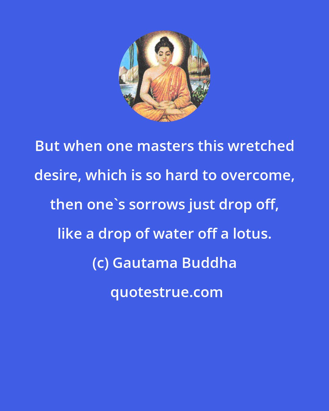 Gautama Buddha: But when one masters this wretched desire, which is so hard to overcome, then one's sorrows just drop off, like a drop of water off a lotus.