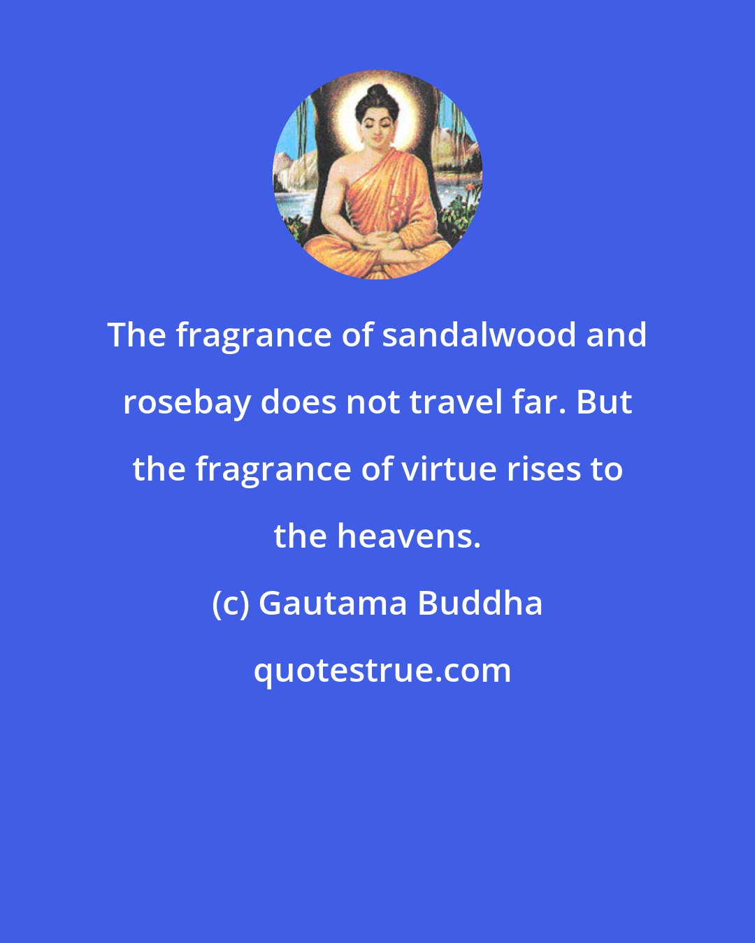 Gautama Buddha: The fragrance of sandalwood and rosebay does not travel far. But the fragrance of virtue rises to the heavens.