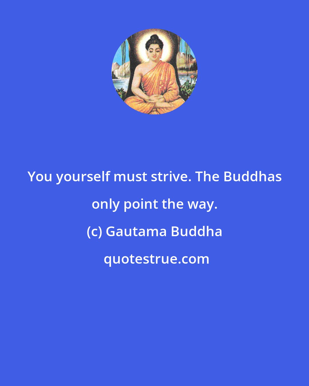 Gautama Buddha: You yourself must strive. The Buddhas only point the way.