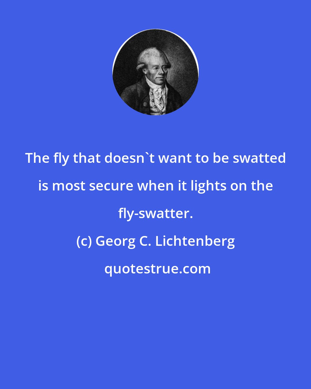 Georg C. Lichtenberg: The fly that doesn't want to be swatted is most secure when it lights on the fly-swatter.