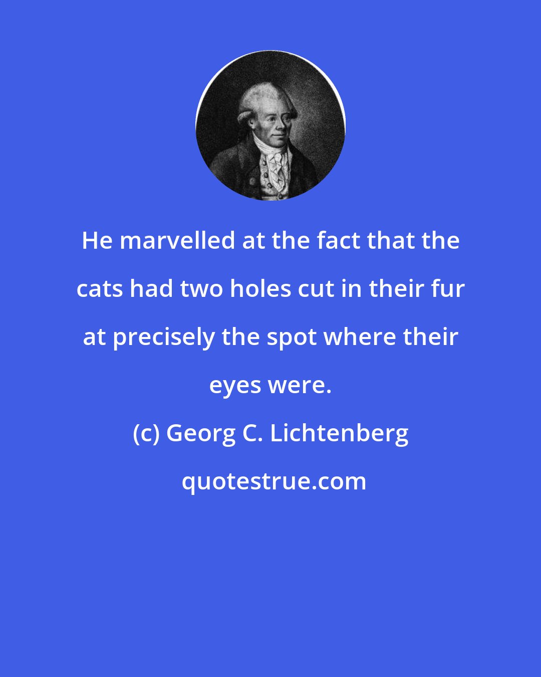 Georg C. Lichtenberg: He marvelled at the fact that the cats had two holes cut in their fur at precisely the spot where their eyes were.