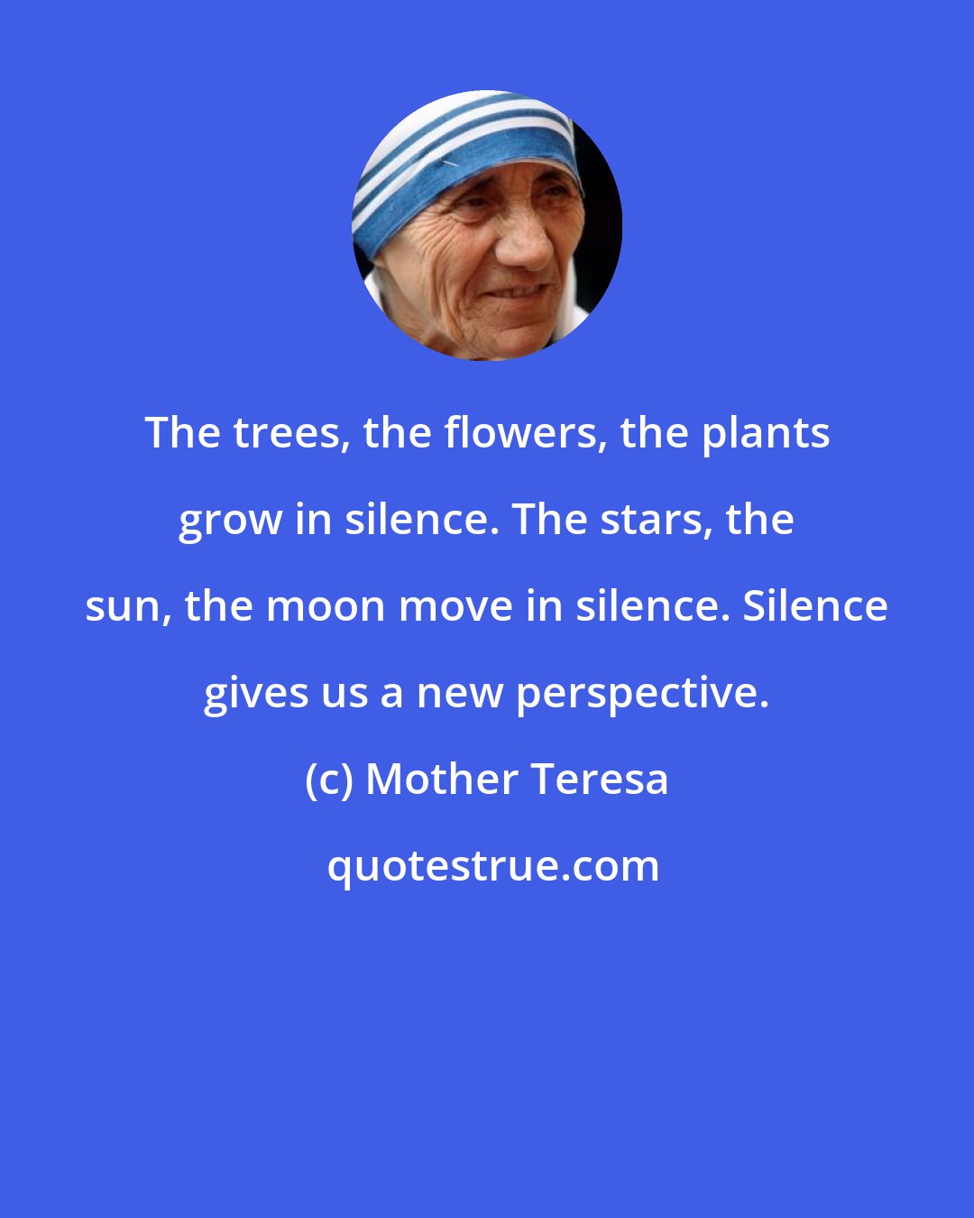 Mother Teresa: The trees, the flowers, the plants grow in silence. The stars, the sun, the moon move in silence. Silence gives us a new perspective.