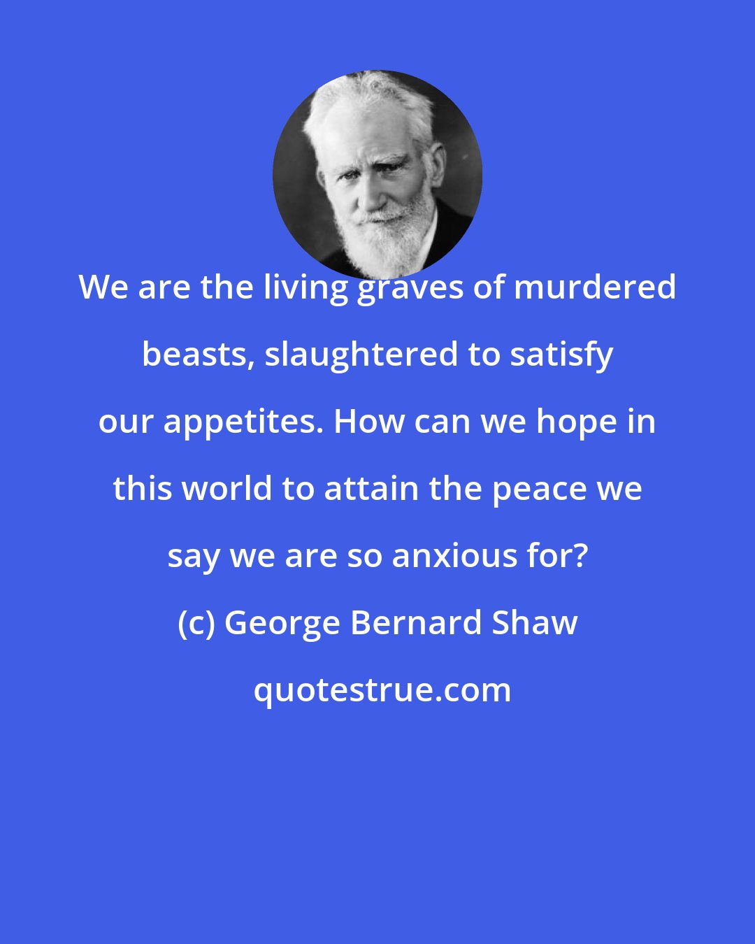 George Bernard Shaw: We are the living graves of murdered beasts, slaughtered to satisfy our appetites. How can we hope in this world to attain the peace we say we are so anxious for?