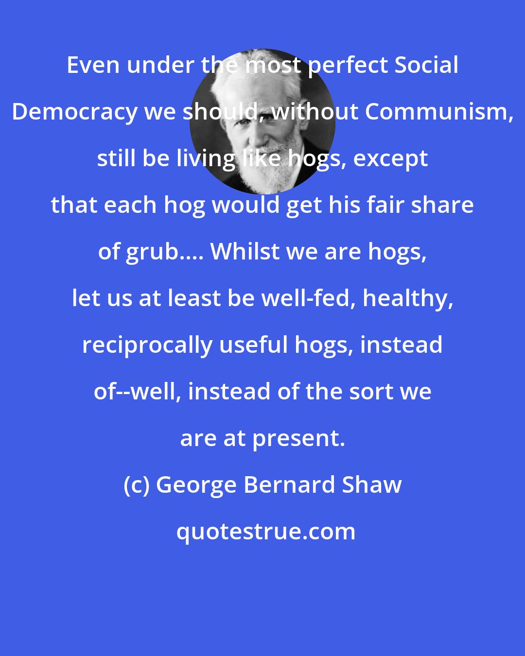 George Bernard Shaw: Even under the most perfect Social Democracy we should, without Communism, still be living like hogs, except that each hog would get his fair share of grub.... Whilst we are hogs, let us at least be well-fed, healthy, reciprocally useful hogs, instead of--well, instead of the sort we are at present.