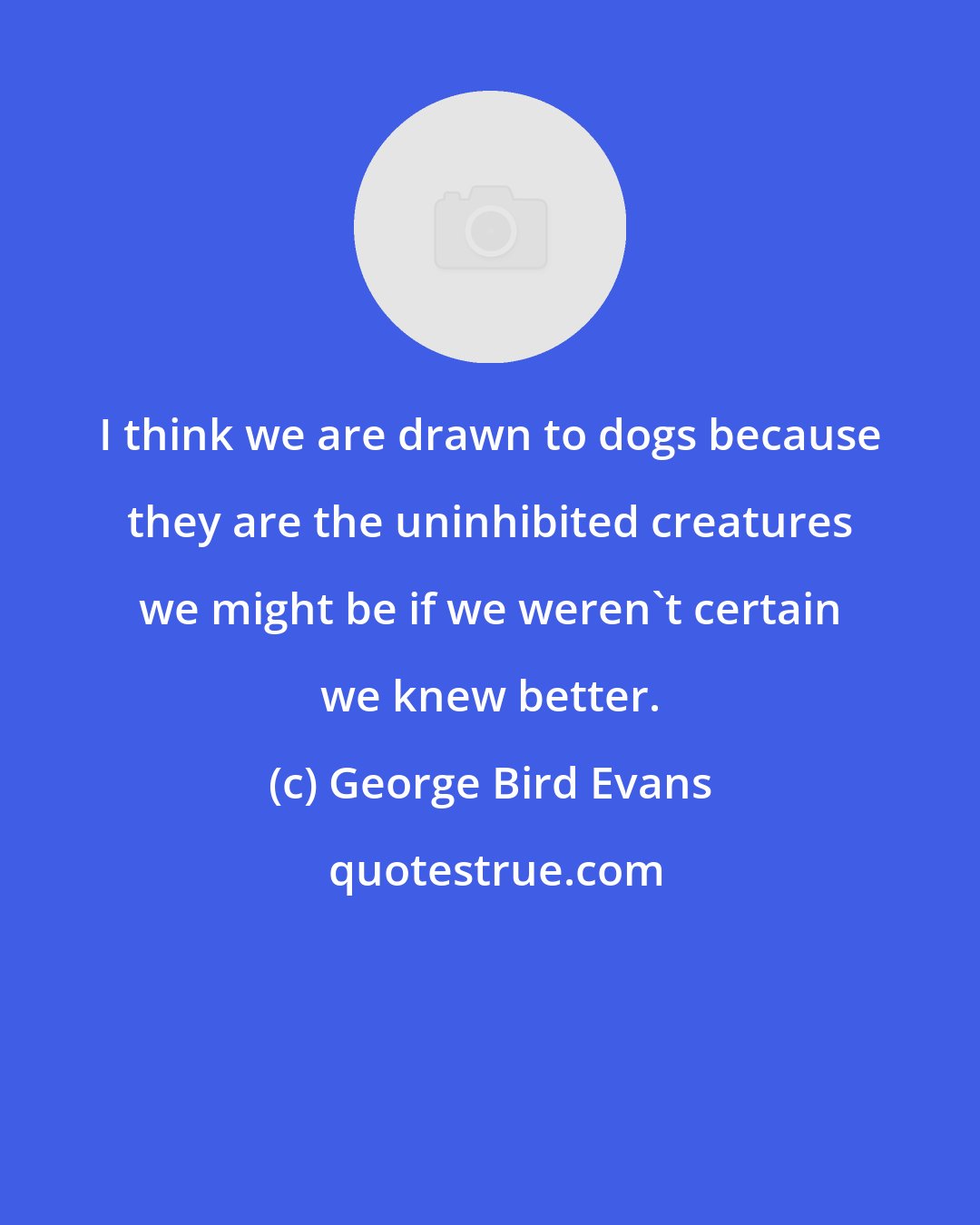George Bird Evans: I think we are drawn to dogs because they are the uninhibited creatures we might be if we weren't certain we knew better.