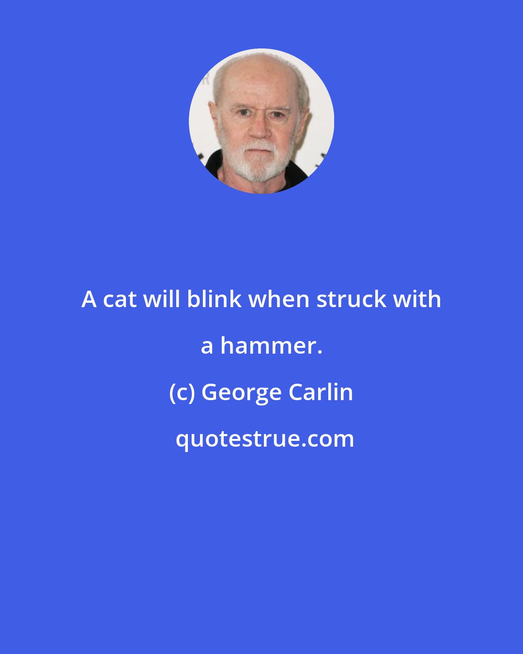 George Carlin: A cat will blink when struck with a hammer.