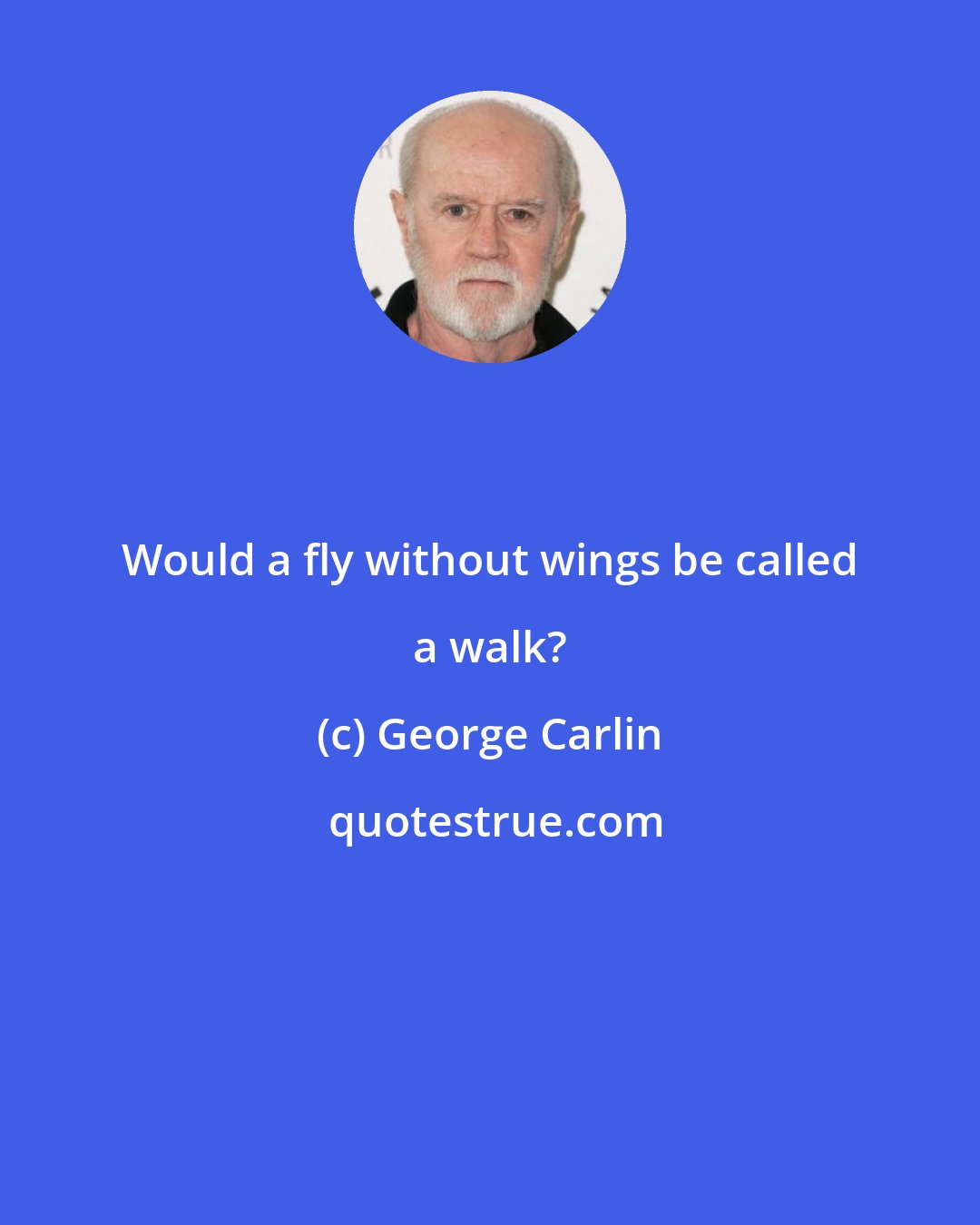 George Carlin: Would a fly without wings be called a walk?