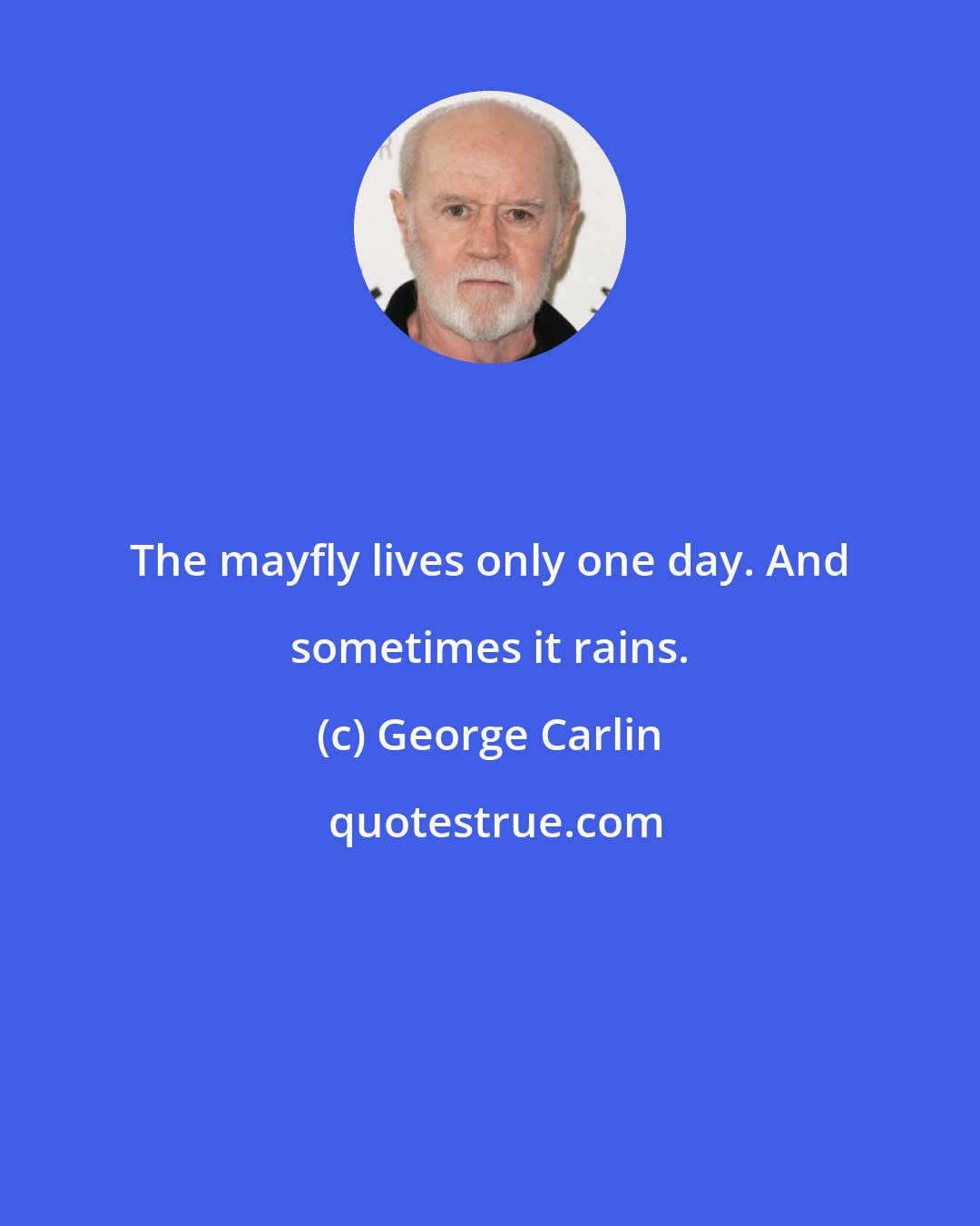 George Carlin: The mayfly lives only one day. And sometimes it rains.