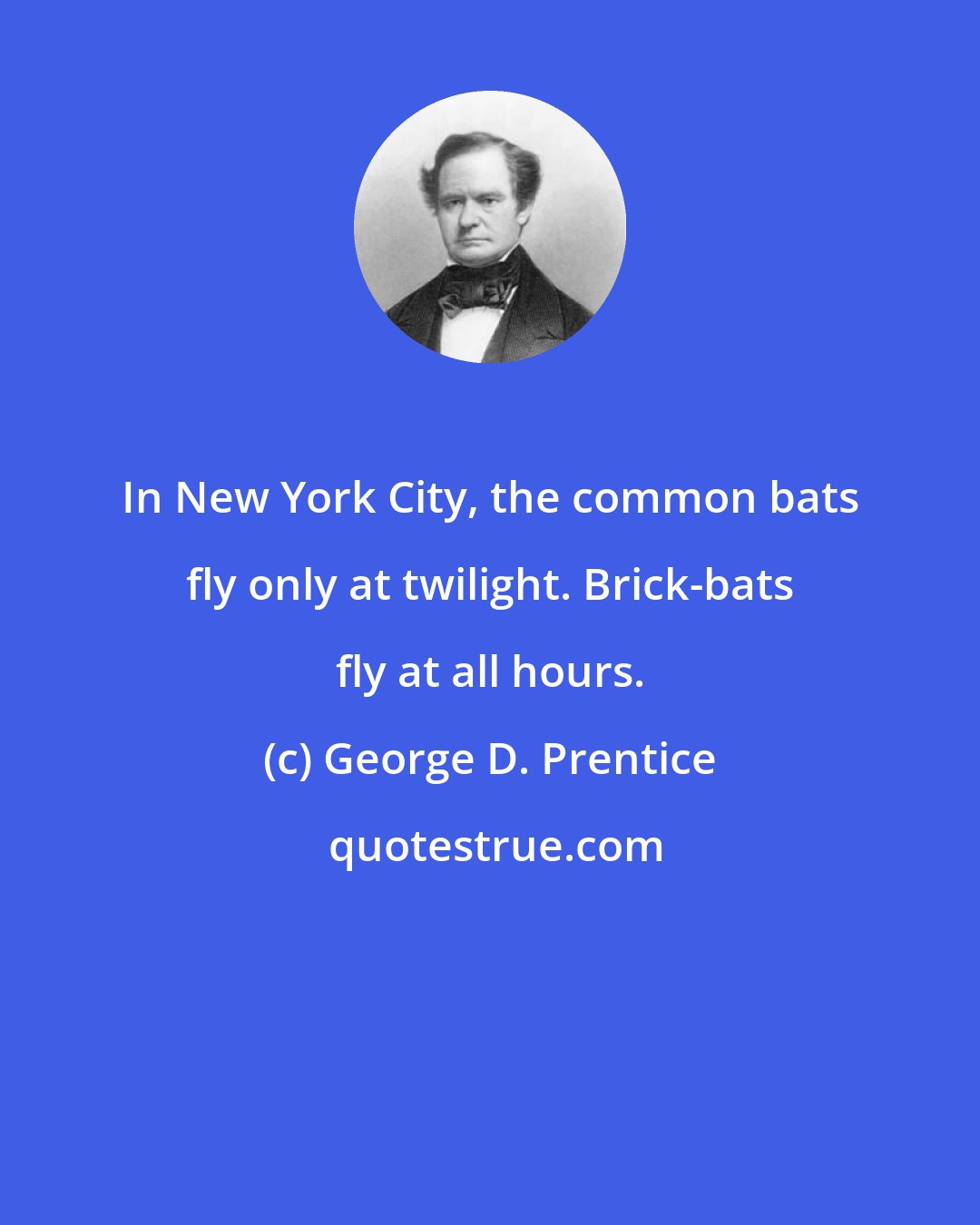 George D. Prentice: In New York City, the common bats fly only at twilight. Brick-bats fly at all hours.