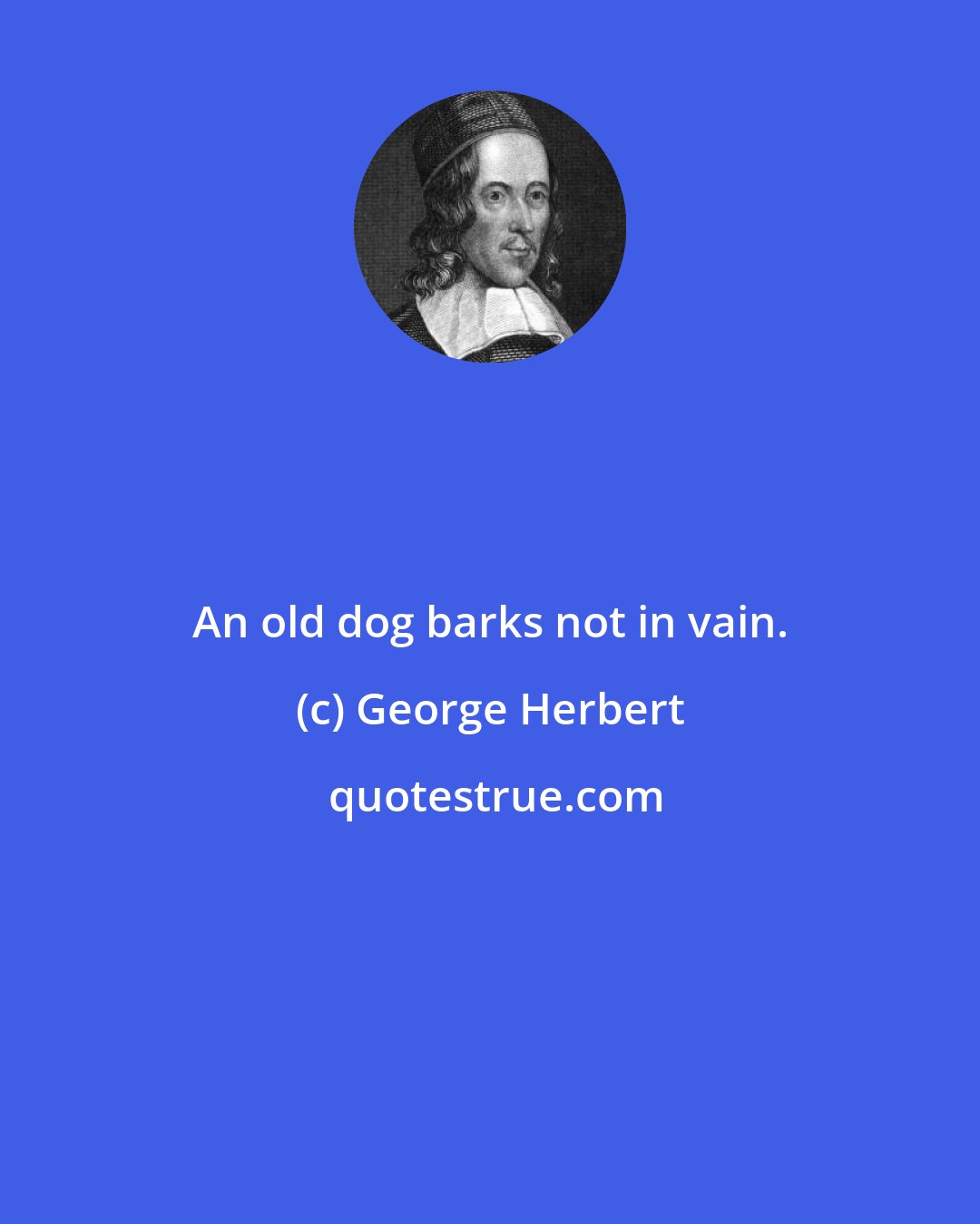 George Herbert: An old dog barks not in vain.