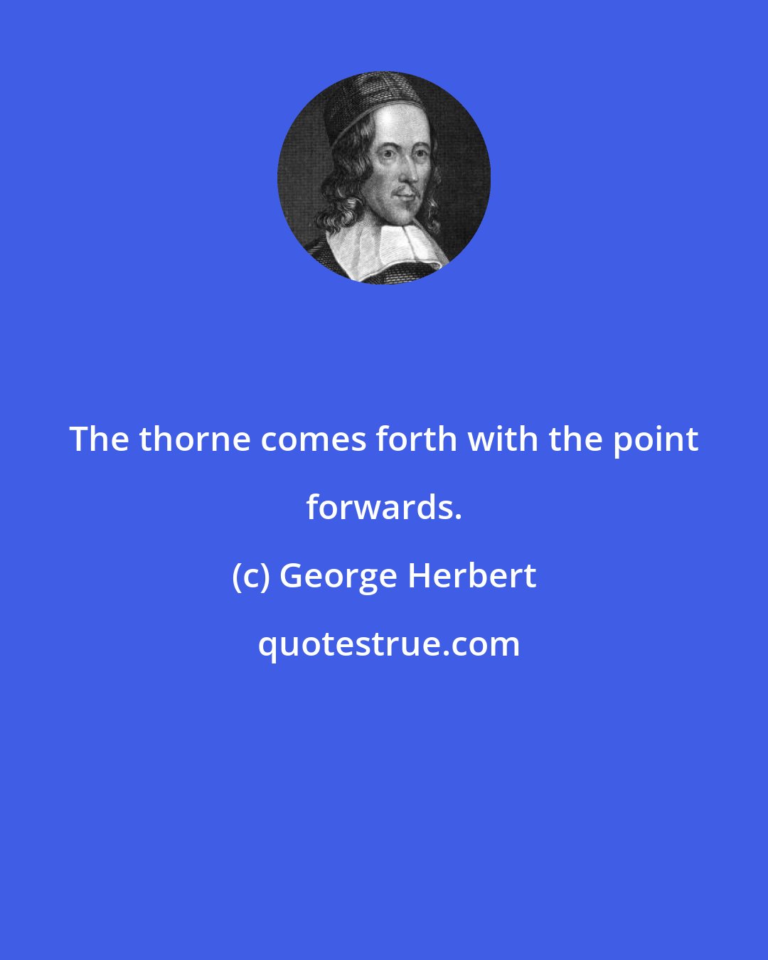 George Herbert: The thorne comes forth with the point forwards.