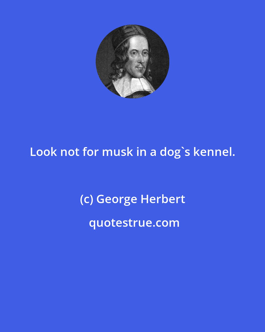 George Herbert: Look not for musk in a dog's kennel.