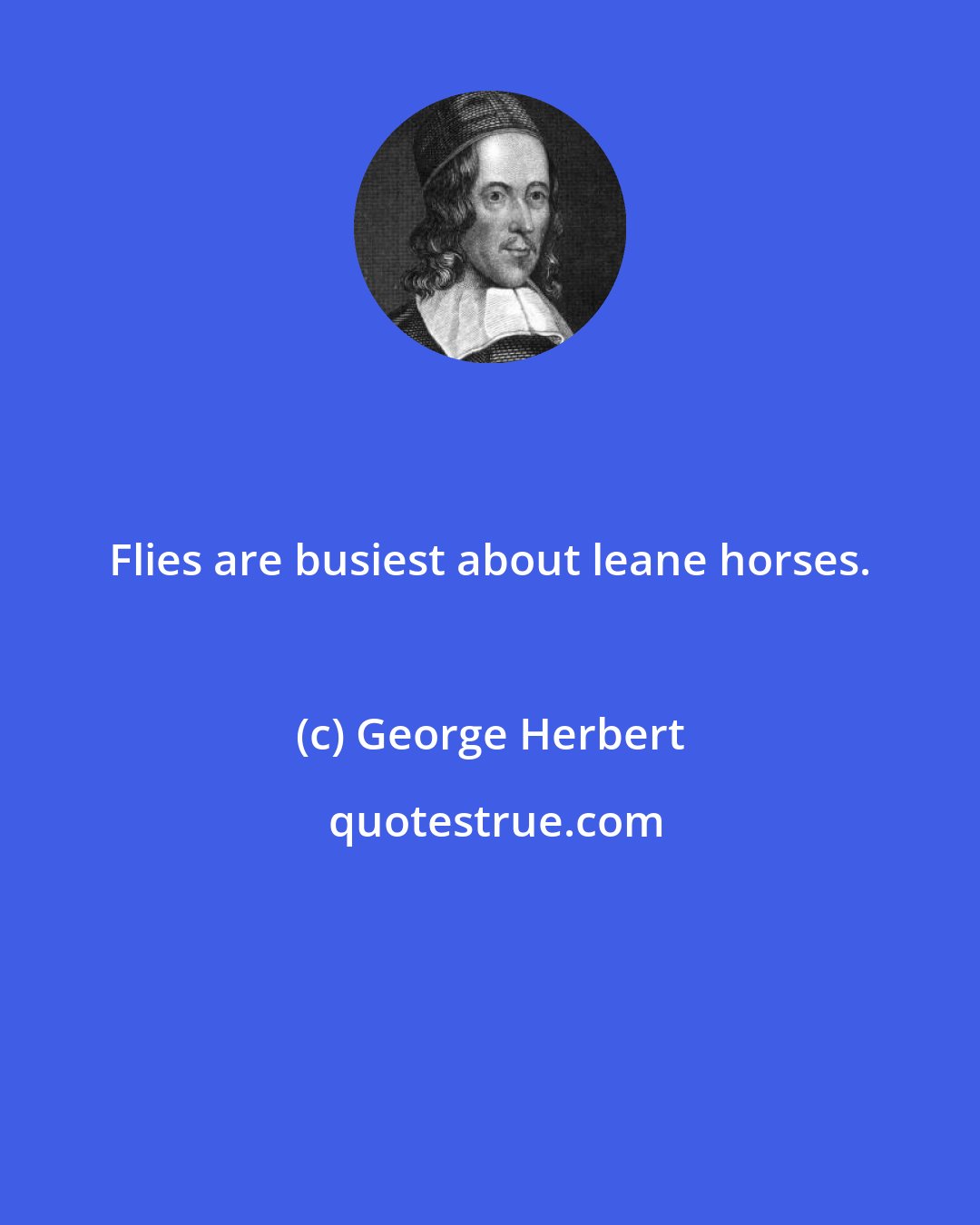 George Herbert: Flies are busiest about leane horses.