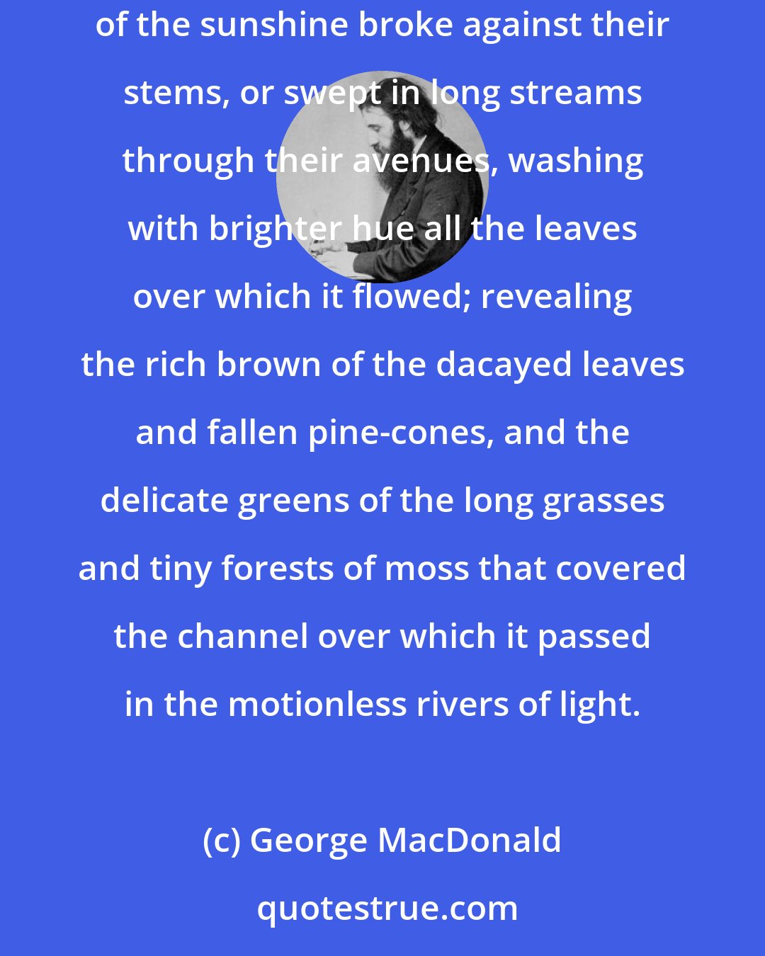 George MacDonald: The trees bathed their great heads in the waves of the morning, while their roots were planted deep in gloom; save where on the borders of the sunshine broke against their stems, or swept in long streams through their avenues, washing with brighter hue all the leaves over which it flowed; revealing the rich brown of the dacayed leaves and fallen pine-cones, and the delicate greens of the long grasses and tiny forests of moss that covered the channel over which it passed in the motionless rivers of light.