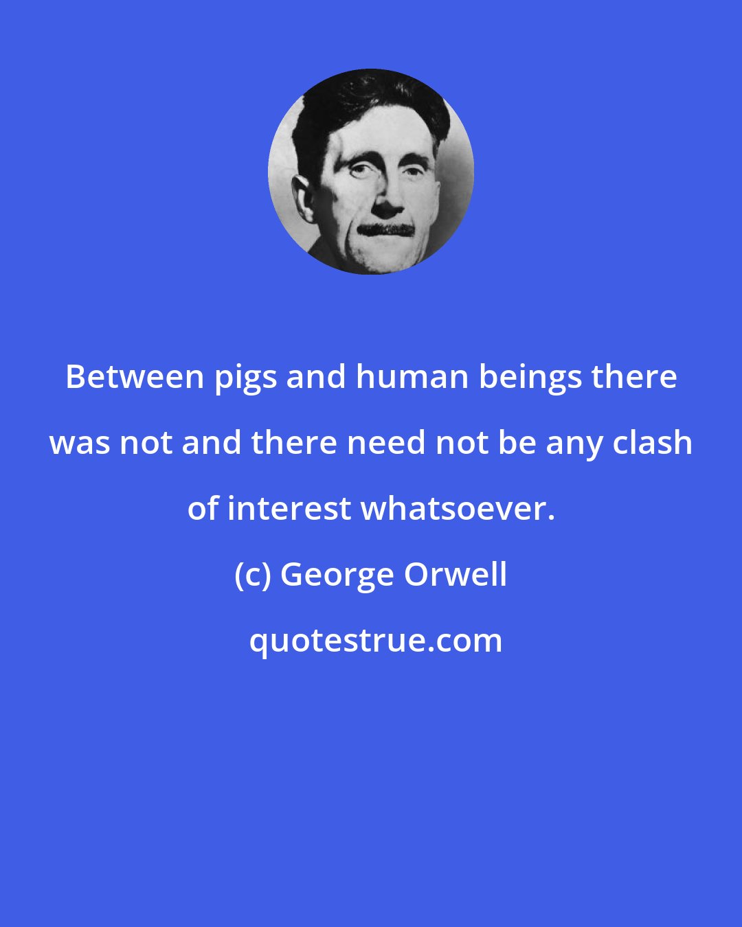 George Orwell: Between pigs and human beings there was not and there need not be any clash of interest whatsoever.
