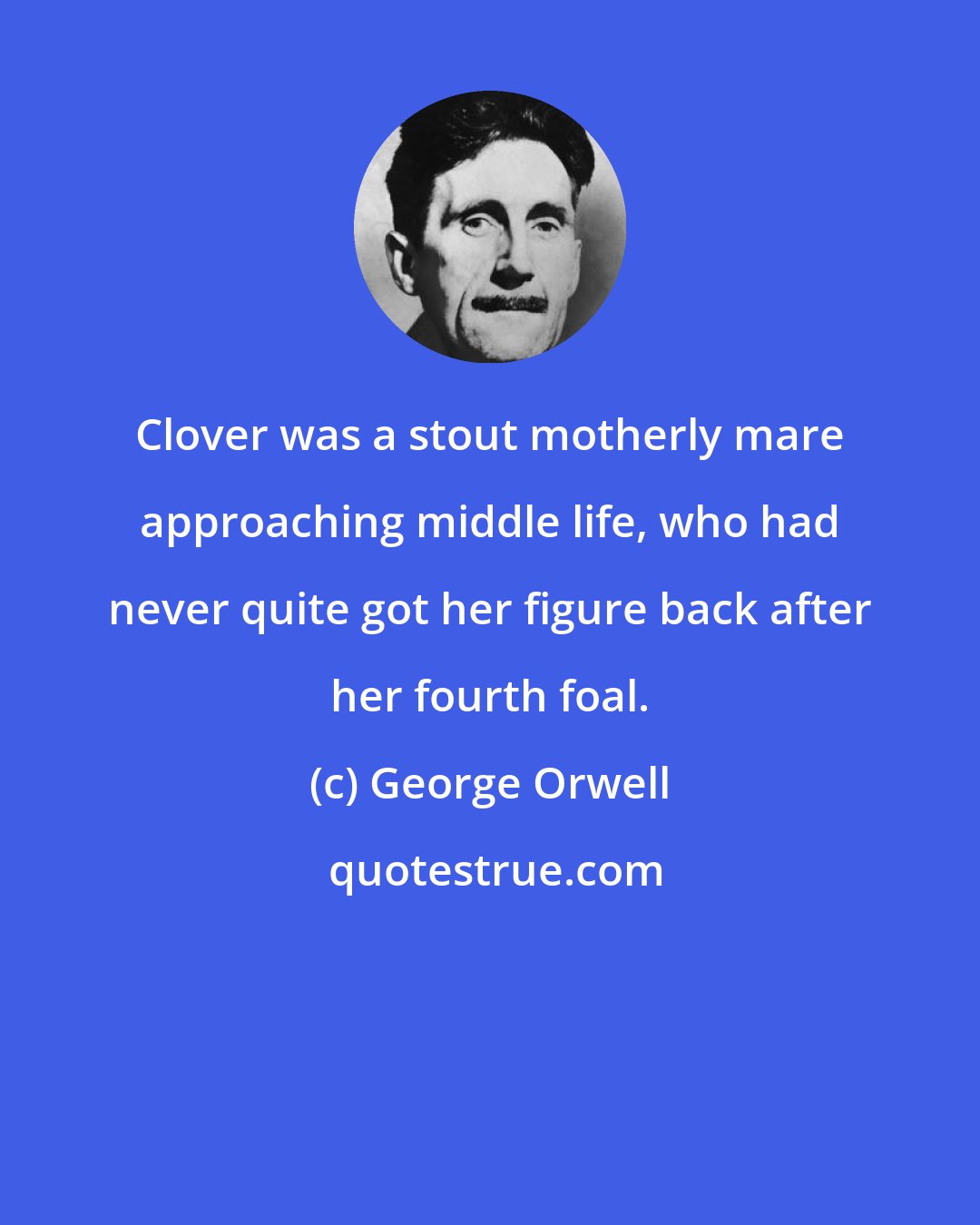 George Orwell: Clover was a stout motherly mare approaching middle life, who had never quite got her figure back after her fourth foal.
