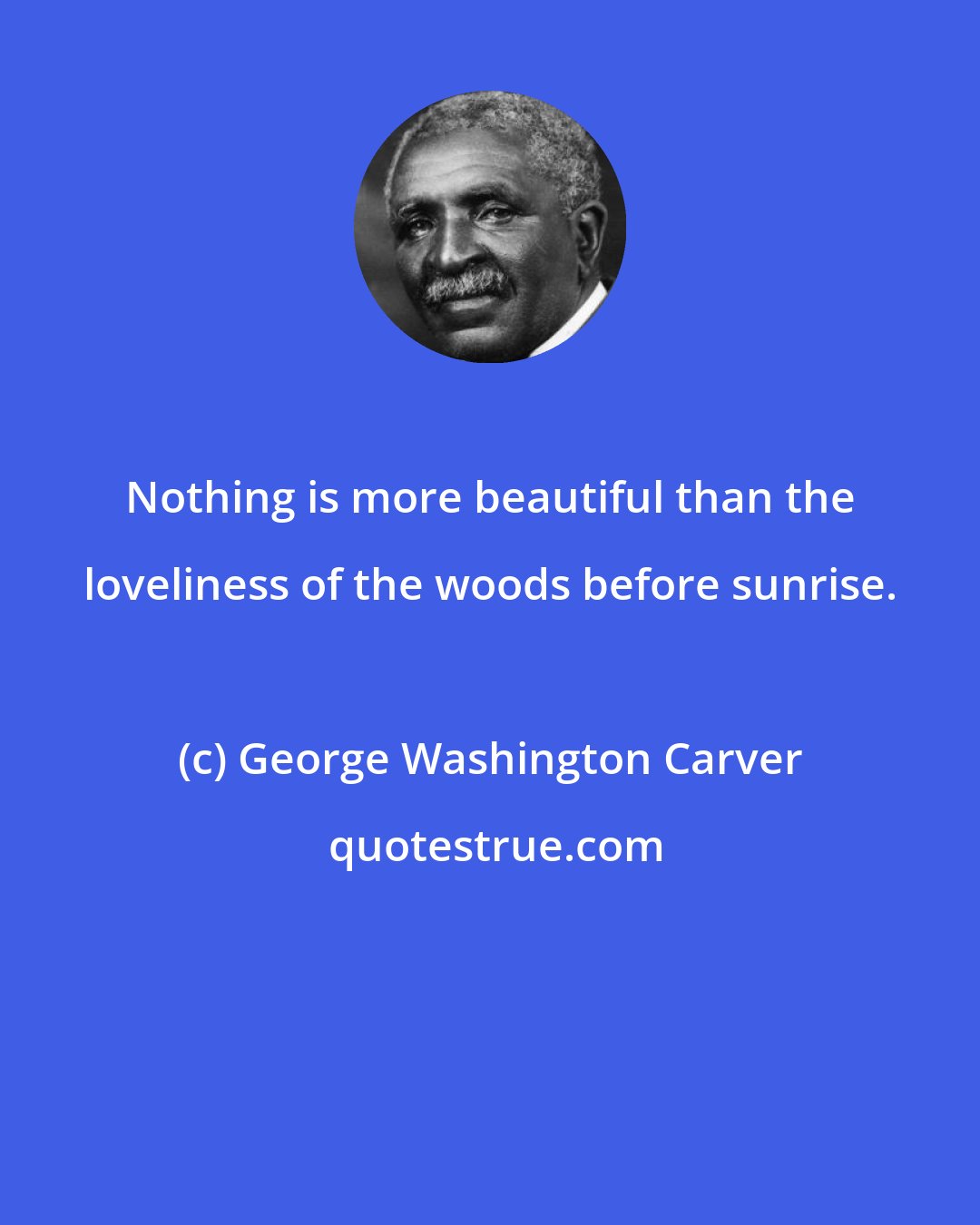 George Washington Carver: Nothing is more beautiful than the loveliness of the woods before sunrise.