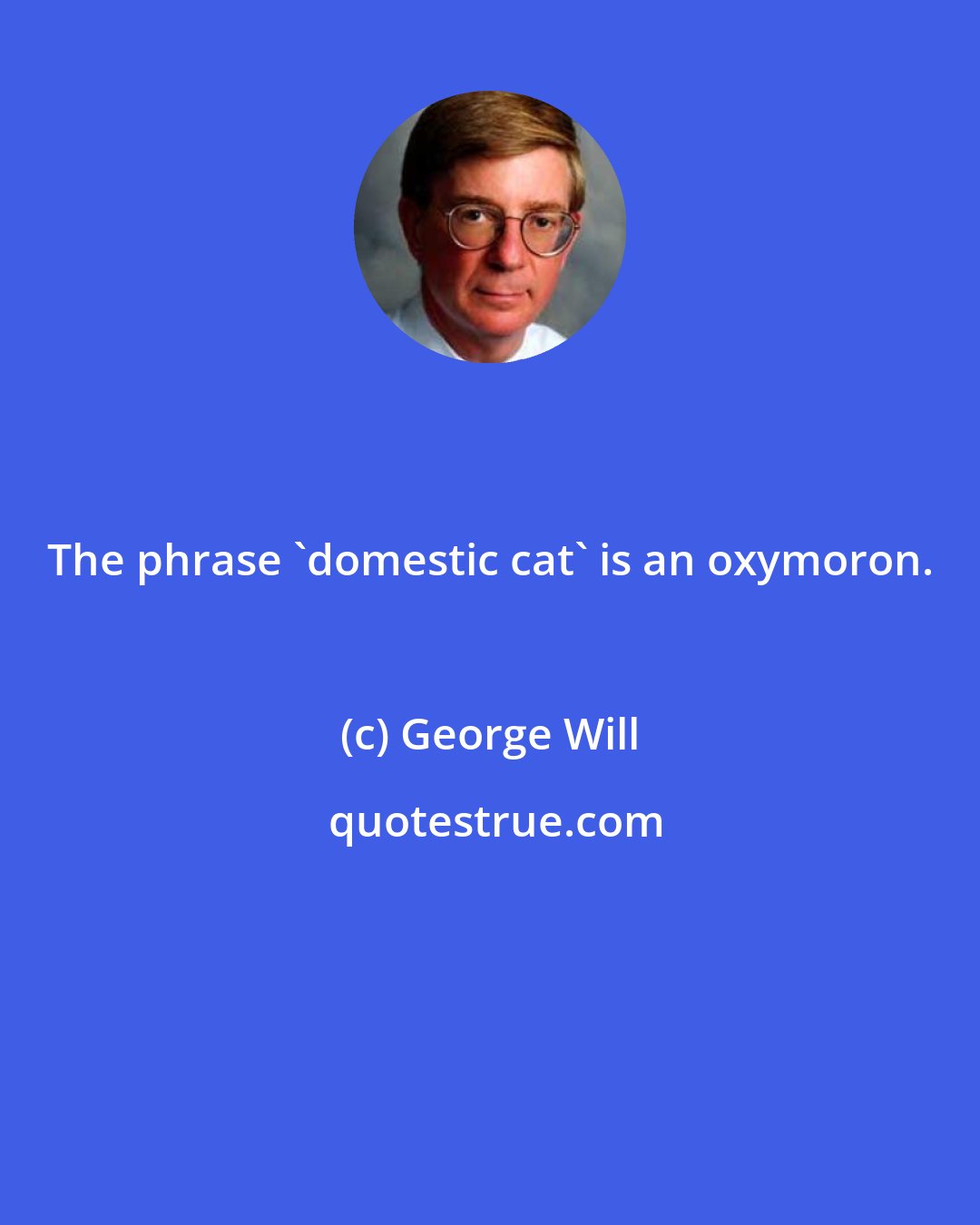 George Will: The phrase 'domestic cat' is an oxymoron.