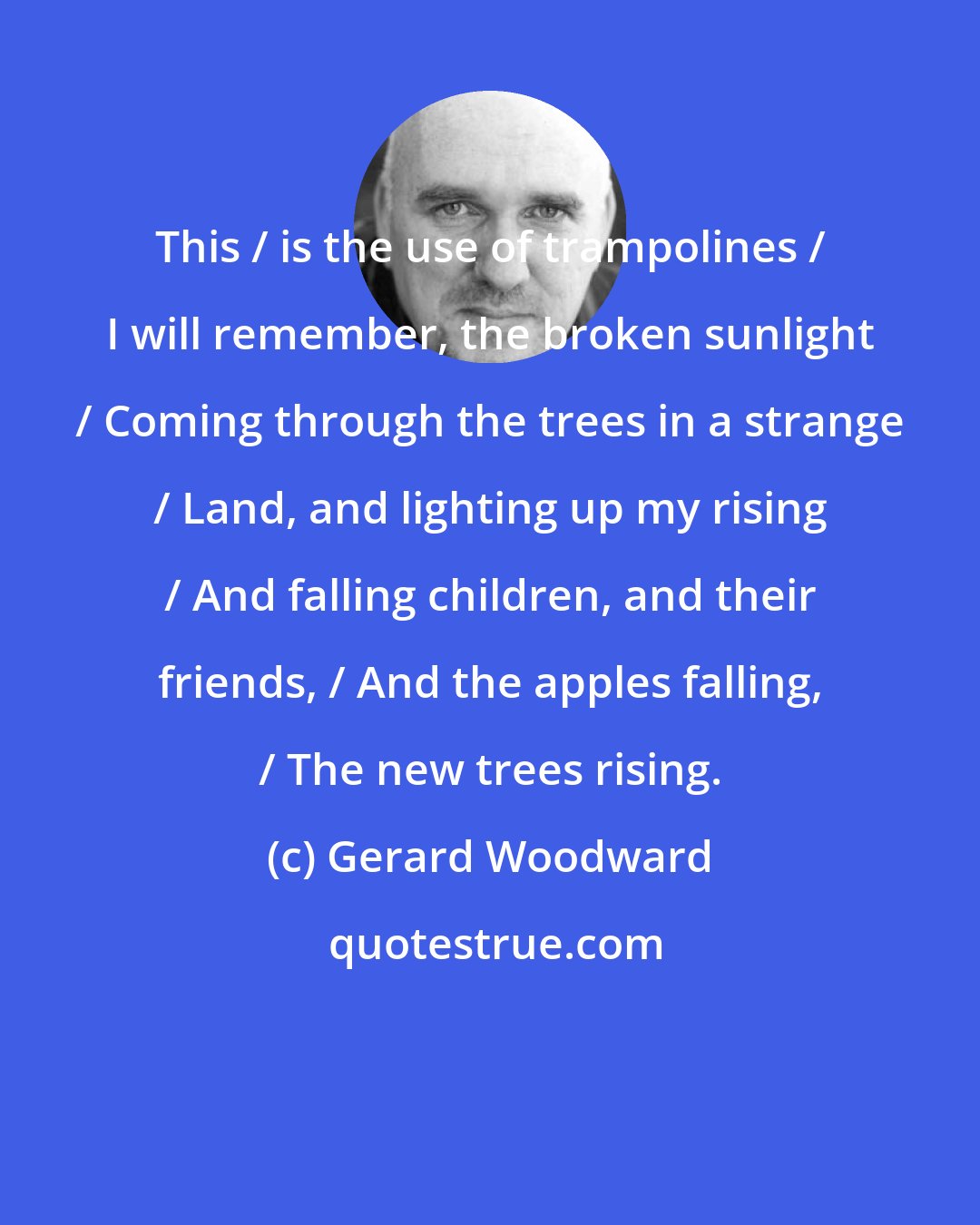 Gerard Woodward: This / is the use of trampolines / I will remember, the broken sunlight / Coming through the trees in a strange / Land, and lighting up my rising / And falling children, and their friends, / And the apples falling, / The new trees rising.
