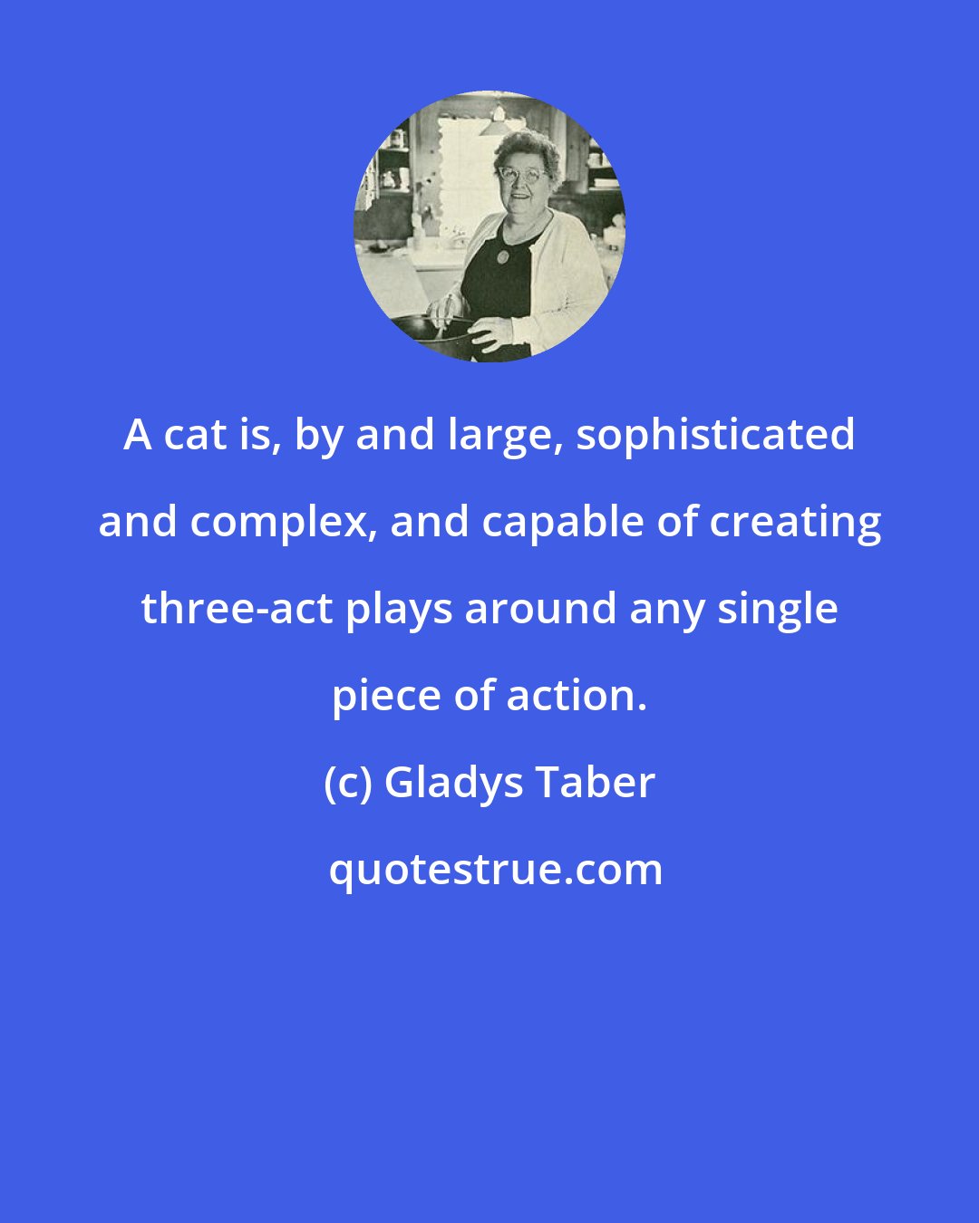 Gladys Taber: A cat is, by and large, sophisticated and complex, and capable of creating three-act plays around any single piece of action.