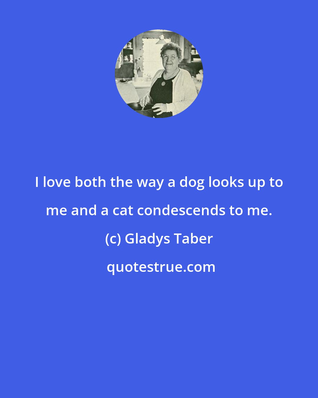 Gladys Taber: I love both the way a dog looks up to me and a cat condescends to me.