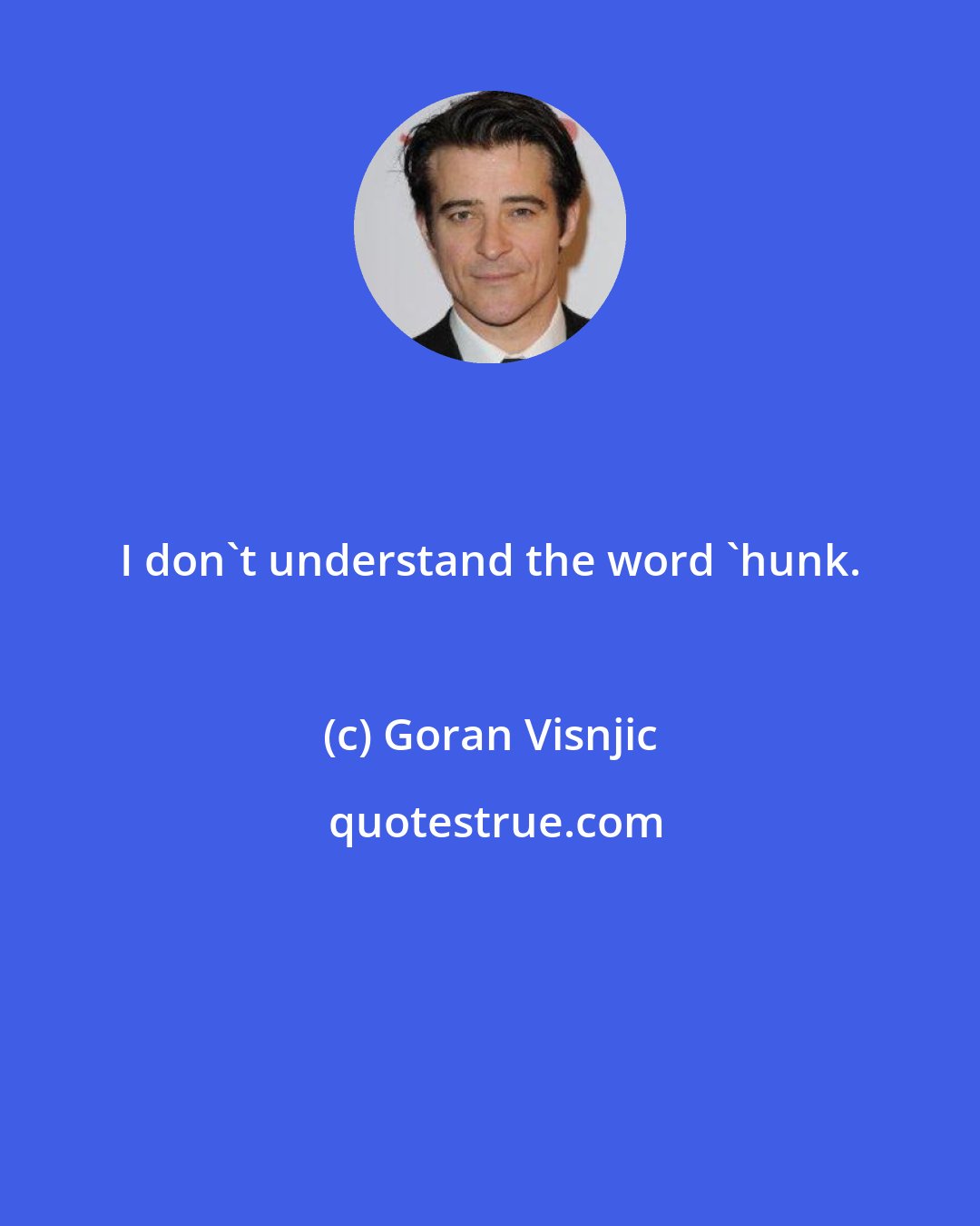 Goran Visnjic: I don't understand the word 'hunk.
