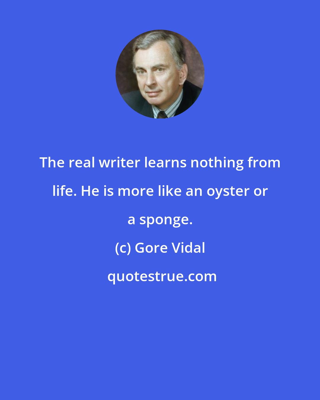 Gore Vidal: The real writer learns nothing from life. He is more like an oyster or a sponge.