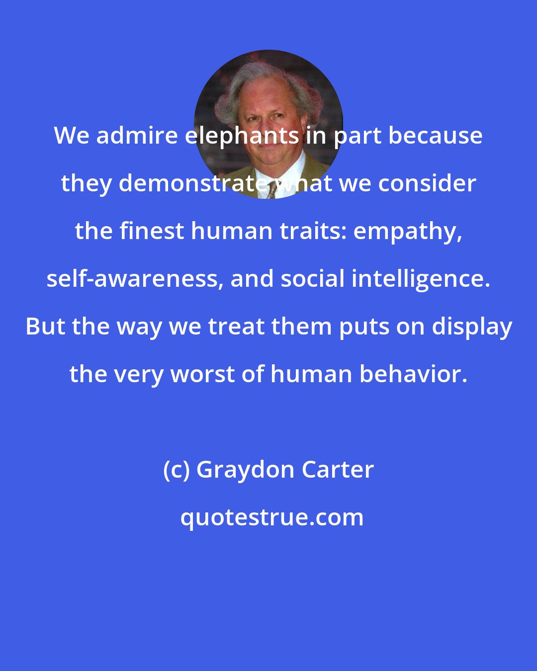 Graydon Carter: We admire elephants in part because they demonstrate what we consider the finest human traits: empathy, self-awareness, and social intelligence. But the way we treat them puts on display the very worst of human behavior.